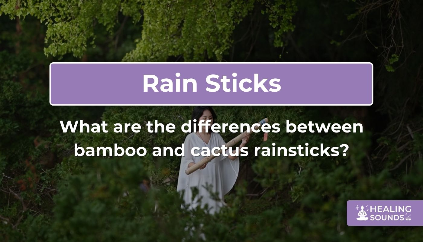 Bamboo vs cactus rainstick