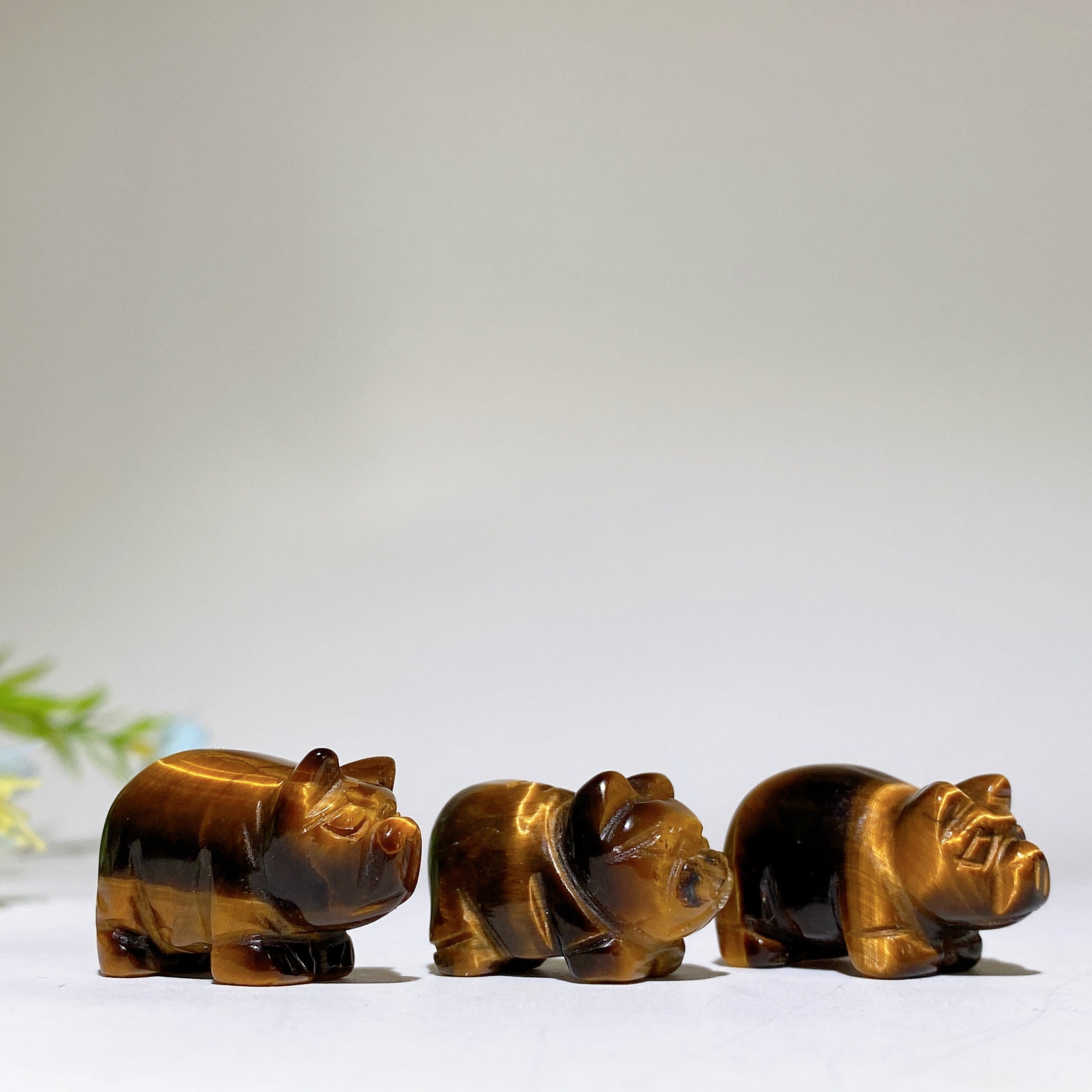 0.9 inch Tigers Eye Pig Crystal Animal Carving for Healing