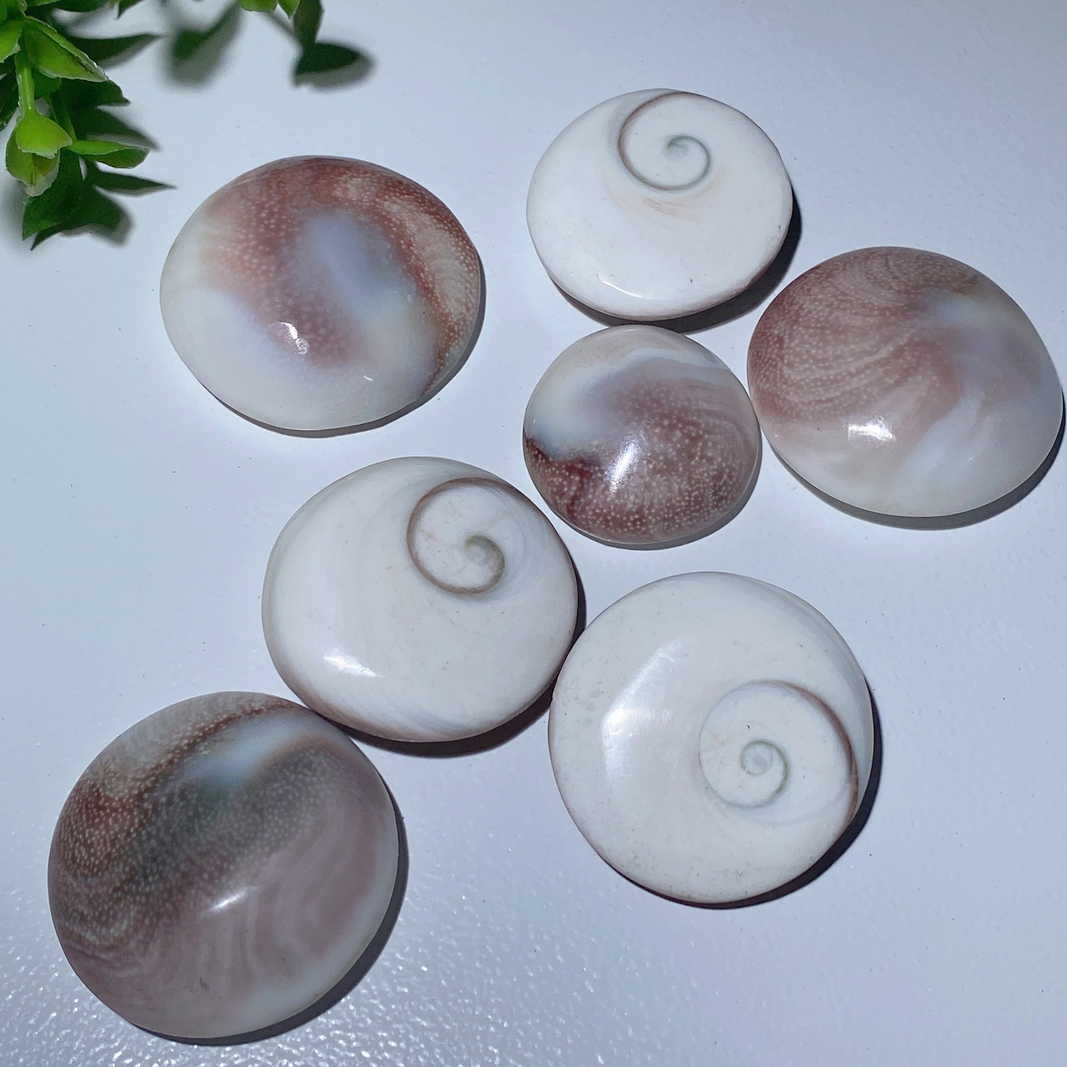 1.1-1.5 inch Shiva's Eye Crystal Carvings for Healing