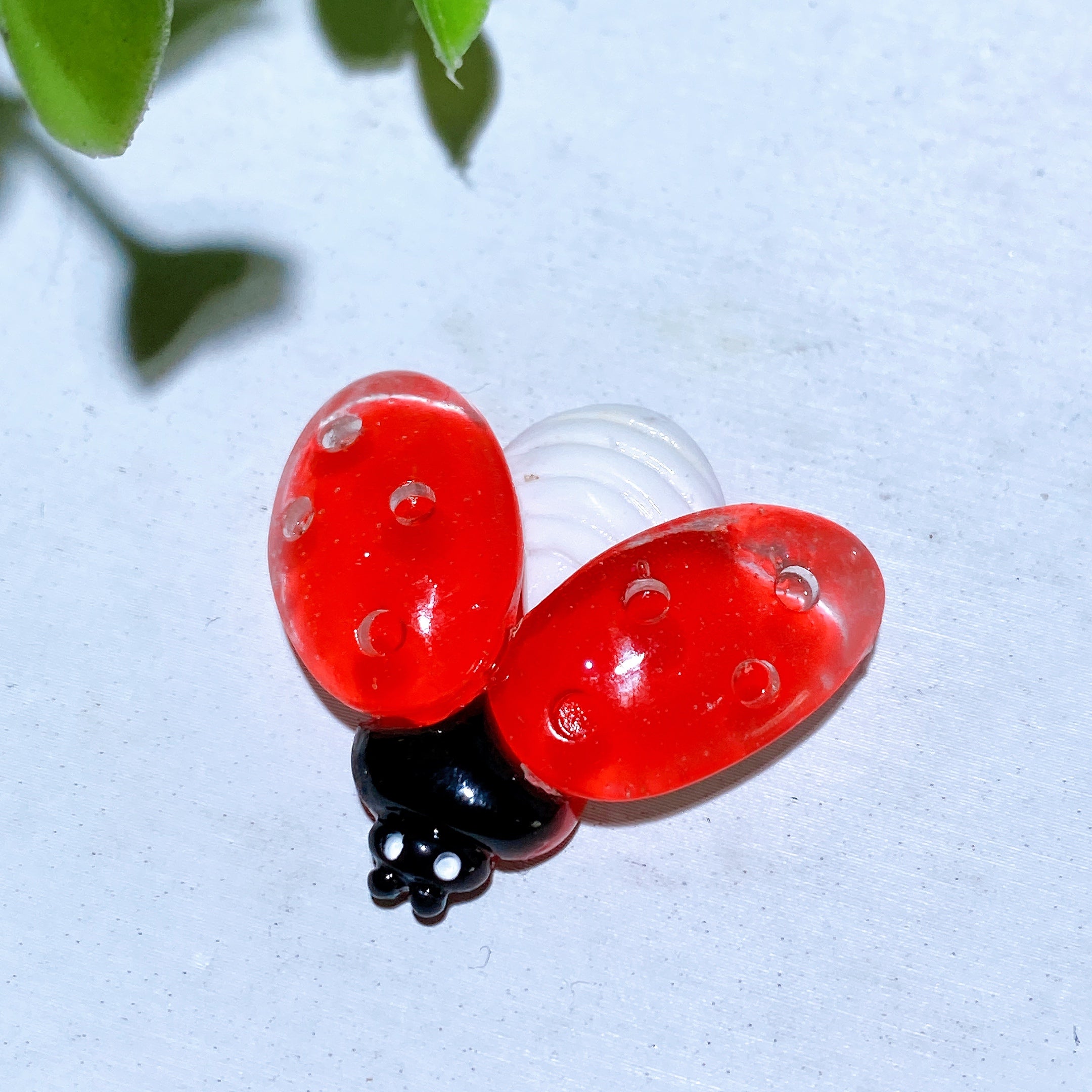 2-Inch Dalmatian Jasper Egg Crystal Palm Stone for Healing