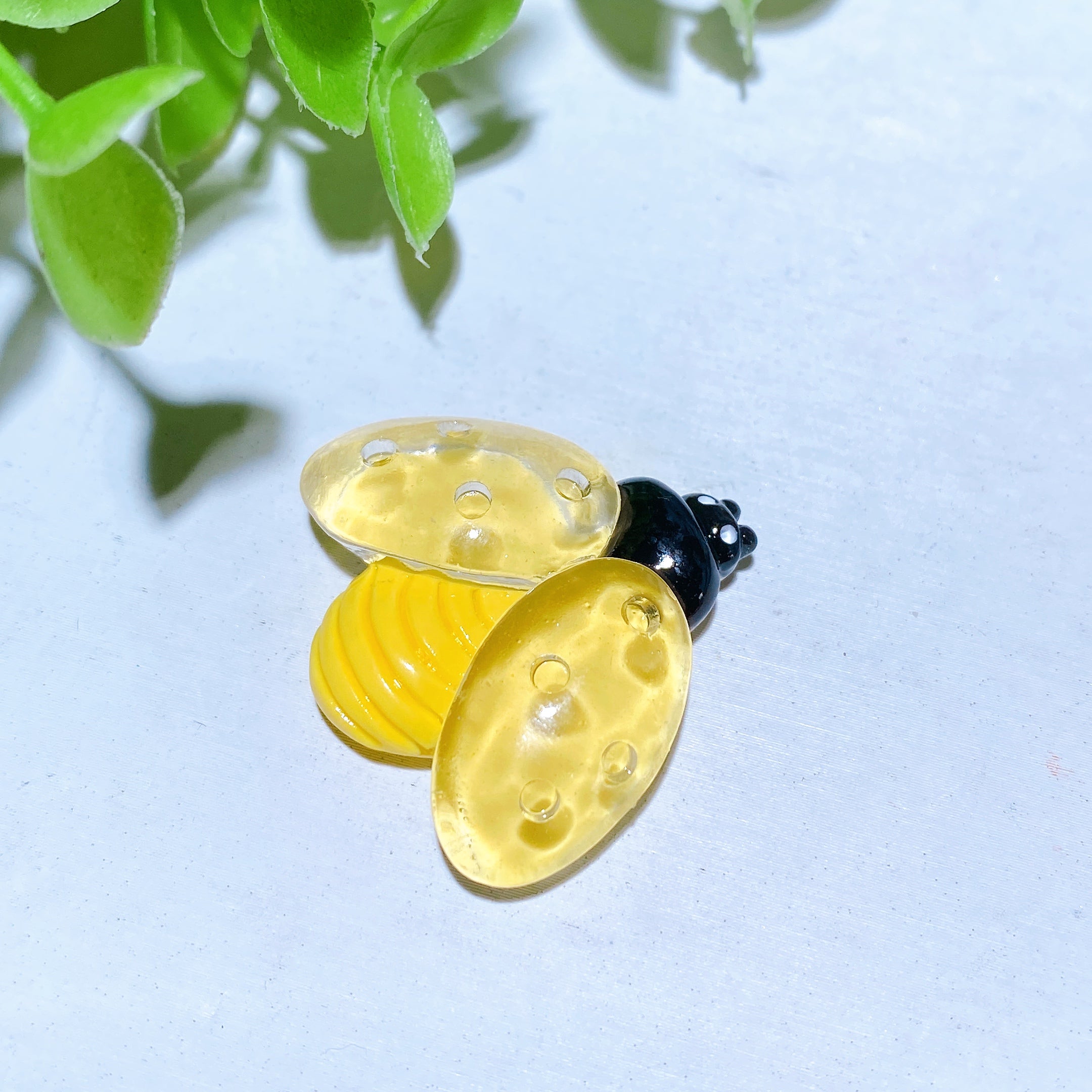 2-Inch Dalmatian Jasper Egg Crystal Palm Stone for Healing