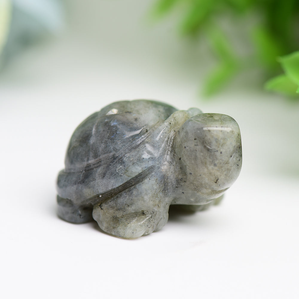 1.4 Inch Mixed Crystal Turtle Figurine for Prosperity & Healing