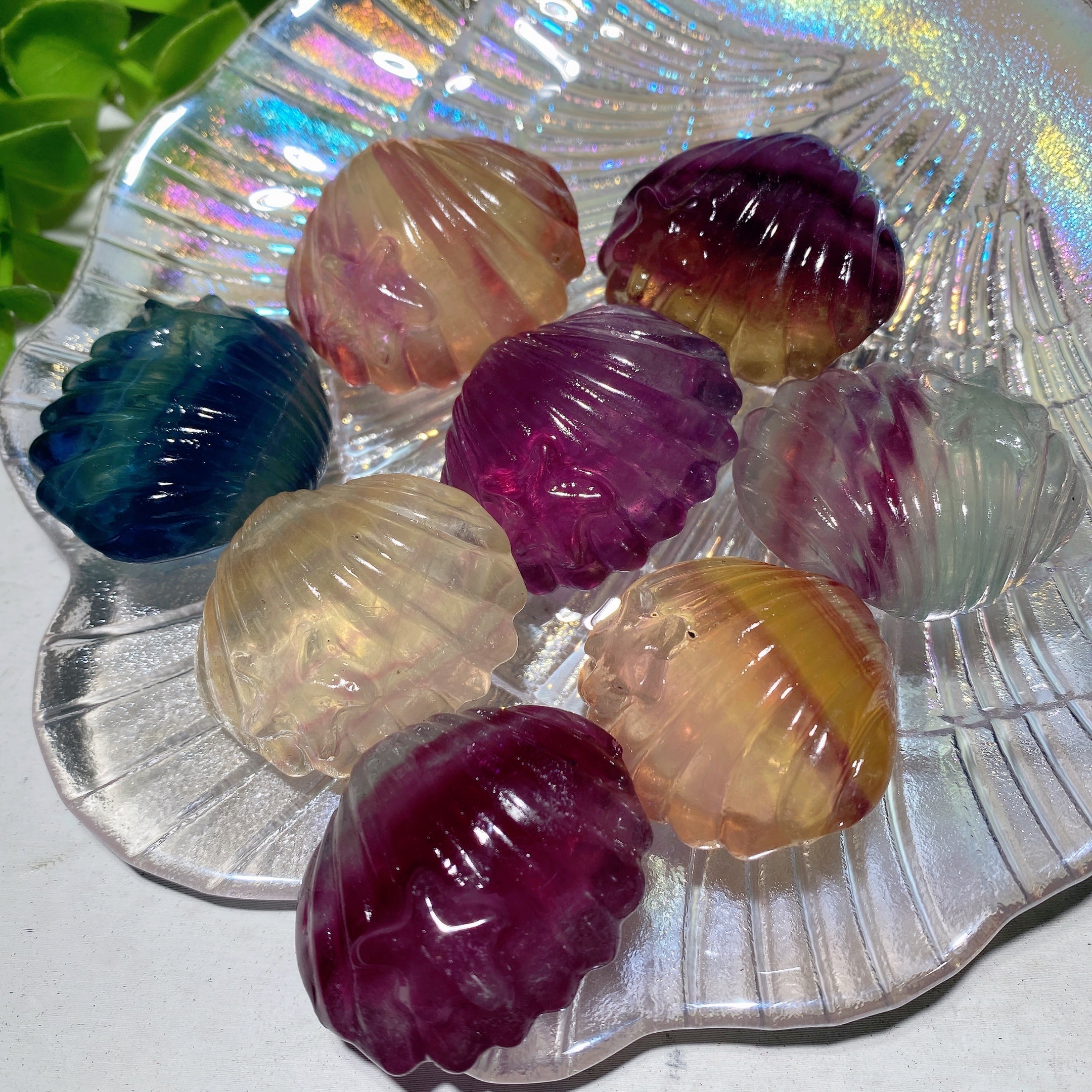 1.4 inch Mixed Fluorite Shell Crystal Figurine Healing Carving