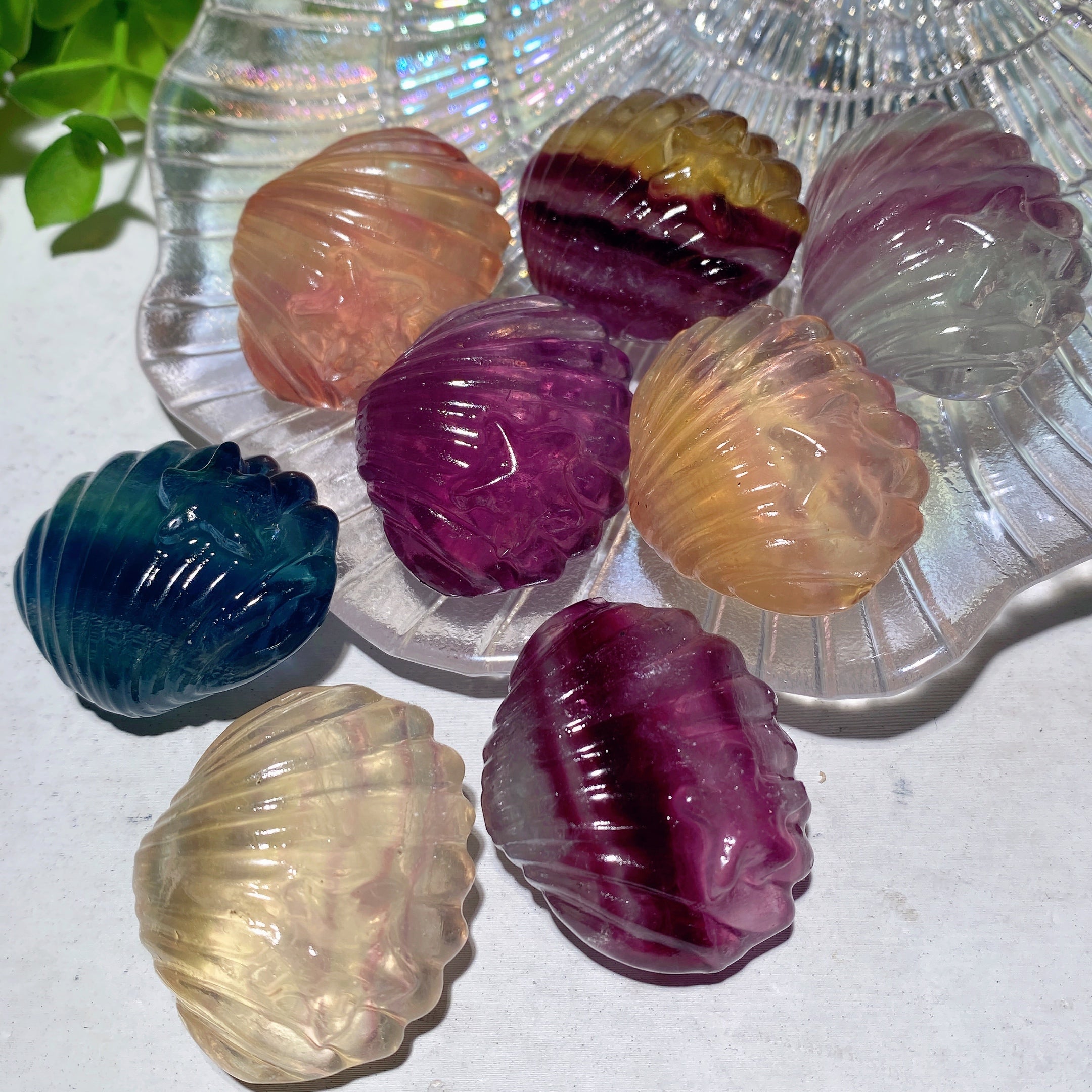 1.4 inch Mixed Fluorite Shell Crystal Figurine Healing Carving