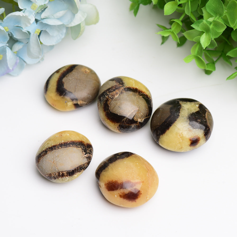 1.5-2.0 Inch Septarium Palm Stone for Healing Energy