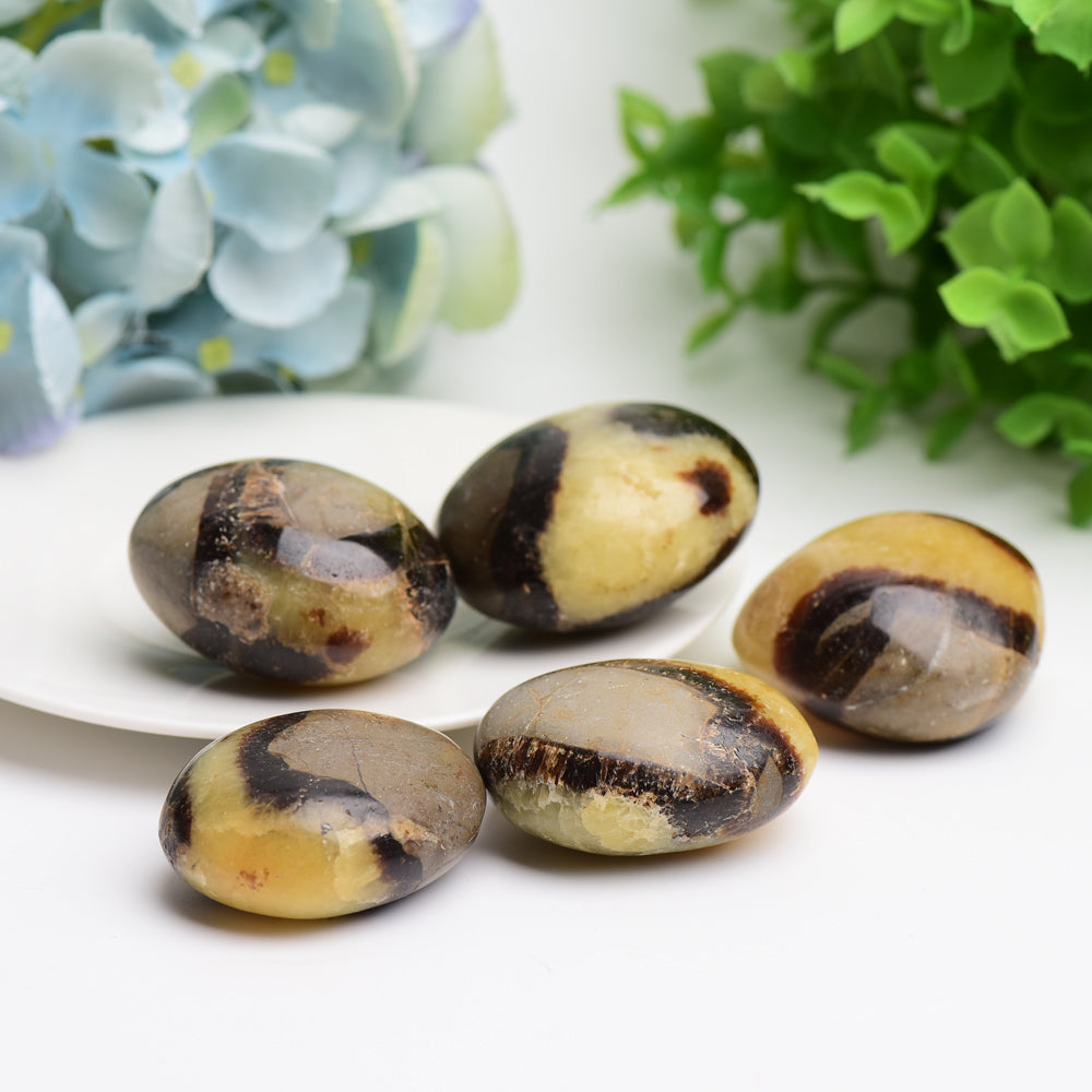 1.5-2.0 Inch Septarium Palm Stone for Healing Energy