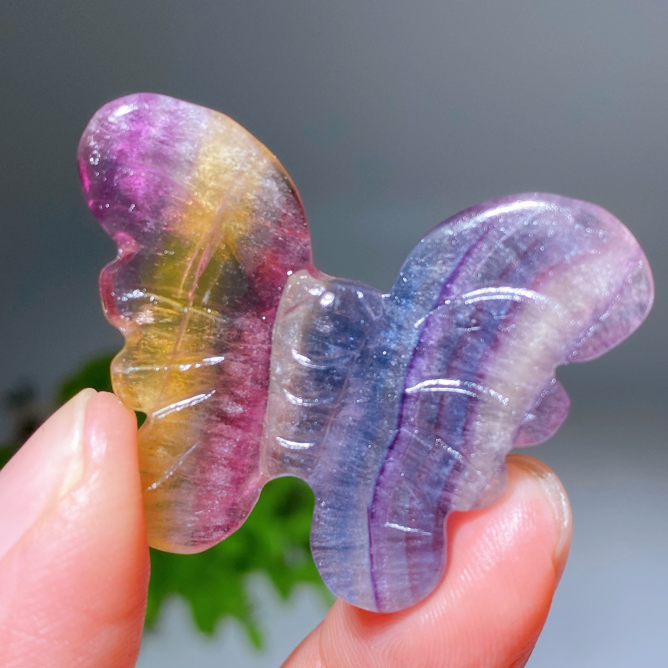 1.6 Inch Rainbow Fluorite Butterfly Crystal Figurine