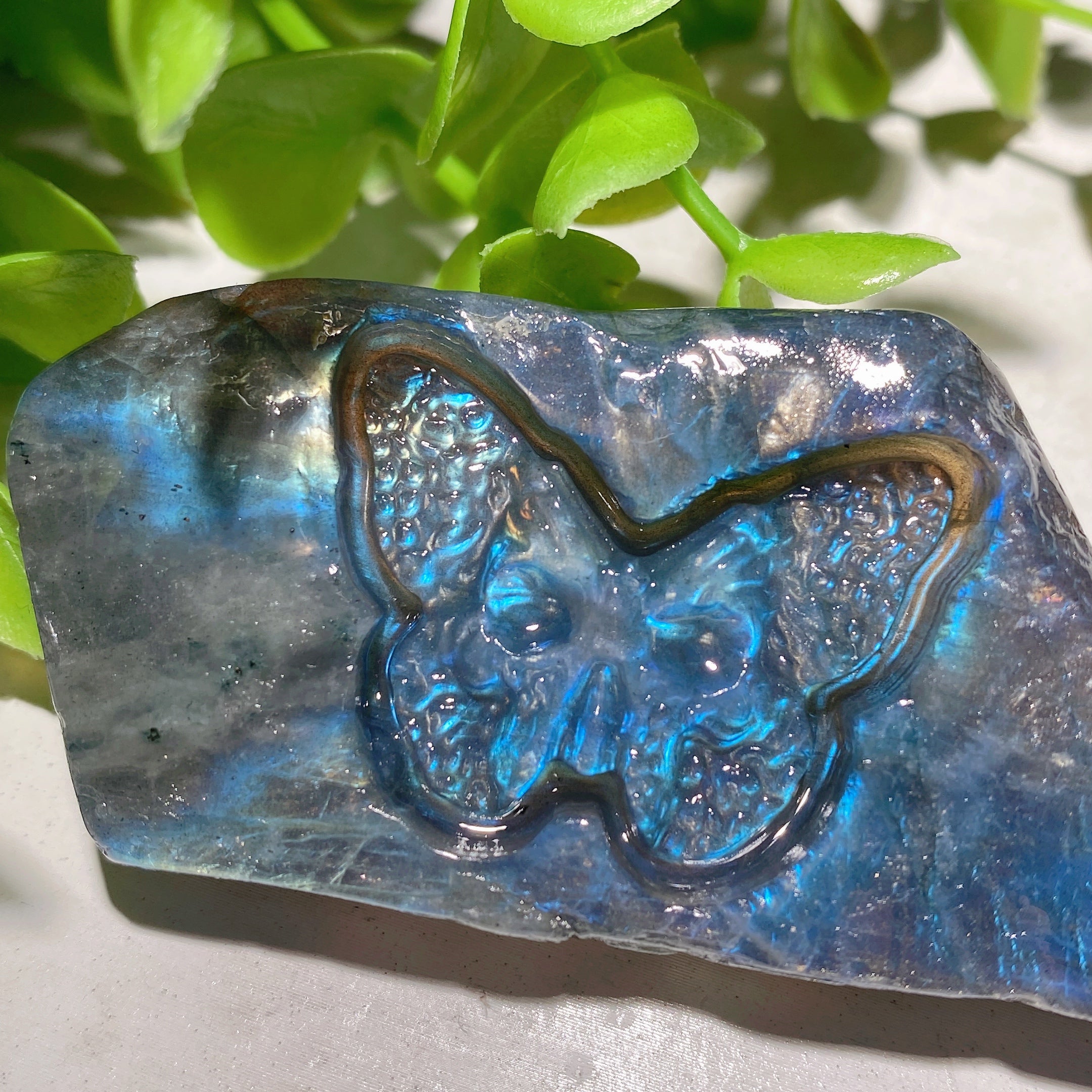 1.8-2.2 inch Mixed Crystal Slabs with Butterfly Skull Carvings