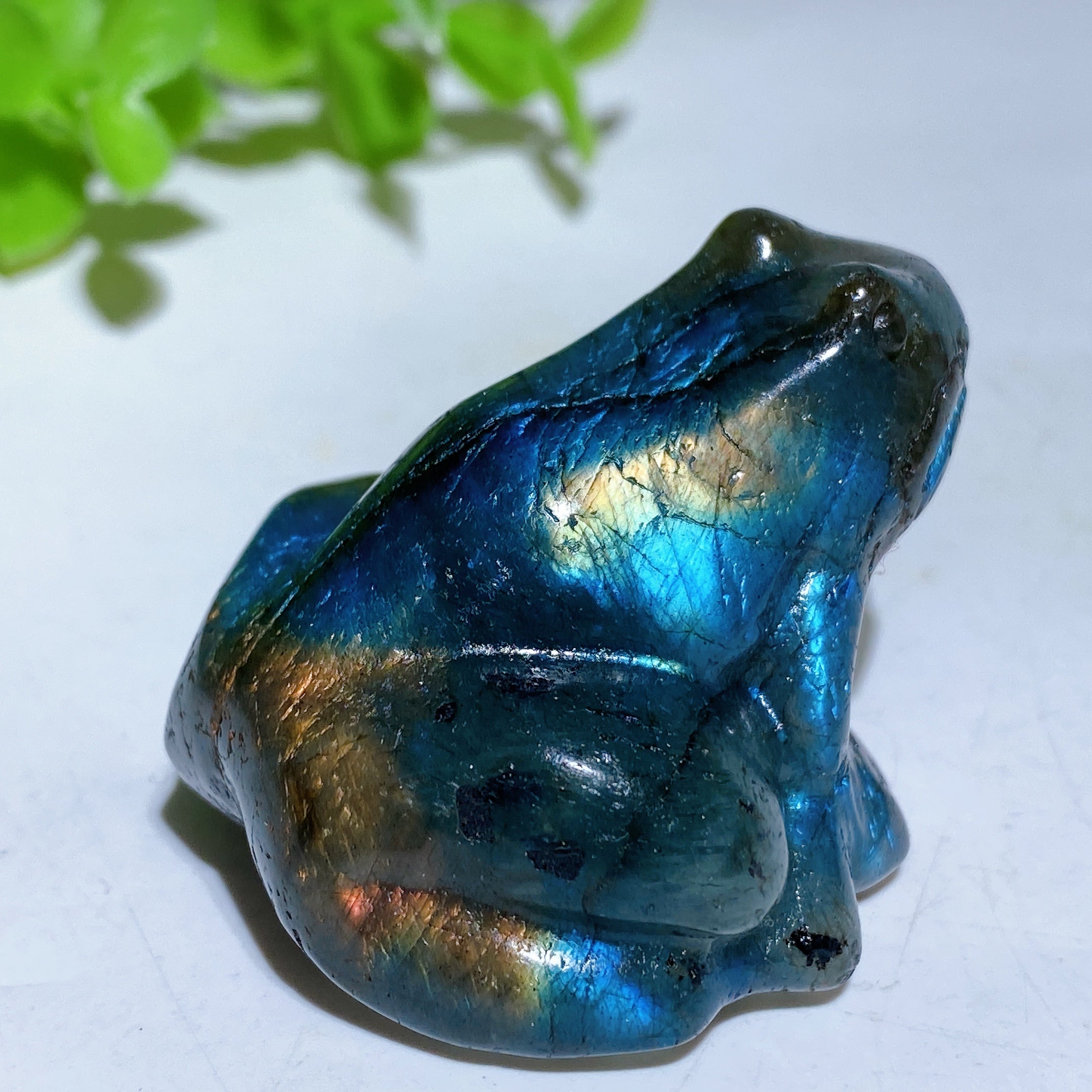 1.8 inch Labradorite Crystal Frog Carving for Healing