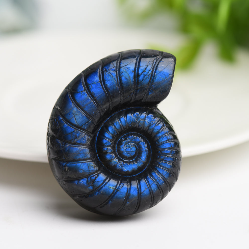 1.8 inch Mixed Crystal Shell Figurine Carving for Healing