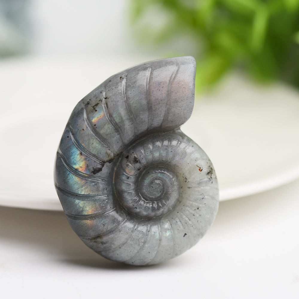 1.8 inch Mixed Crystal Shell Figurine Carving for Healing