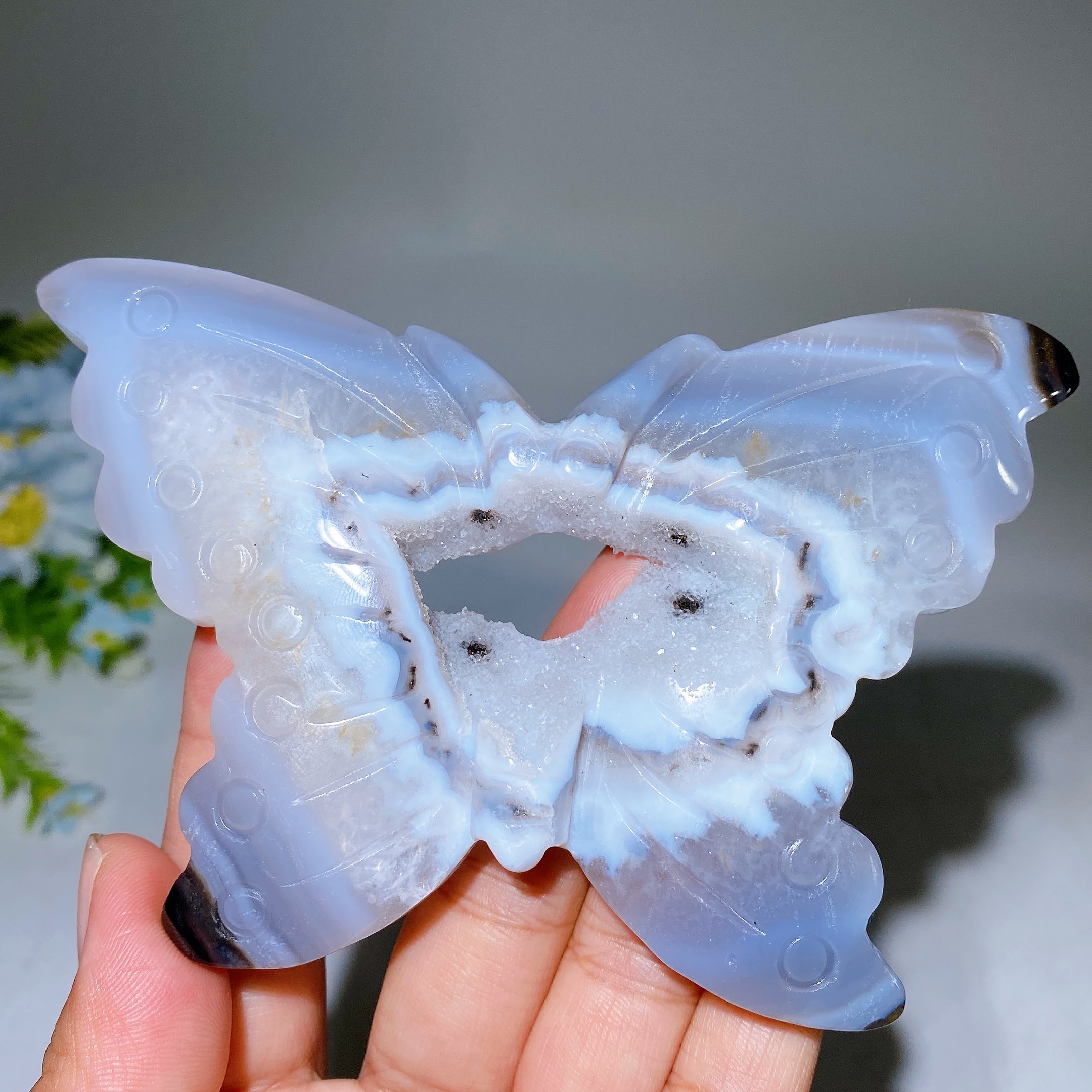 12cm Druzy Agate Butterfly Crystal Animal Carving