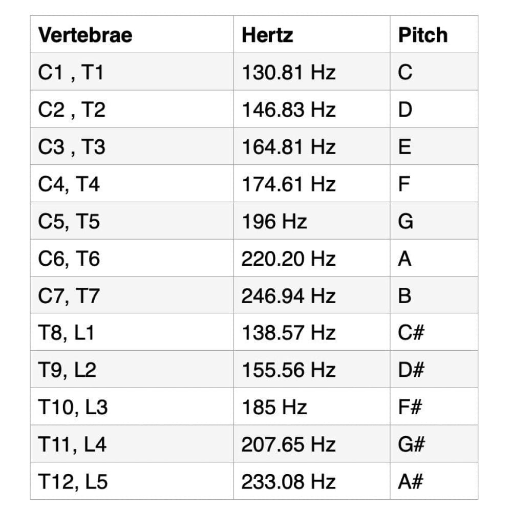 Chart of vertebrae positions, frequency in Hertz, and musical pitch notes for Biofield Tuning Forks