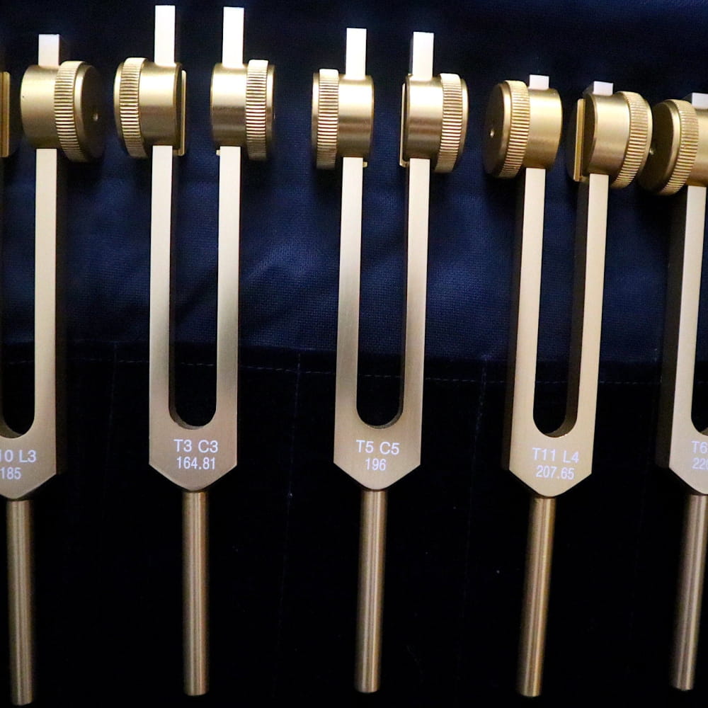 Row of medical tuning forks with adjustment knobs in 12pc Song of the Spine set