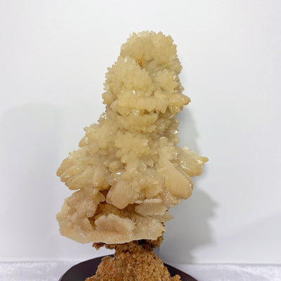16cm Calcite Crystal Tree with Stand | Unique Healing Specimen