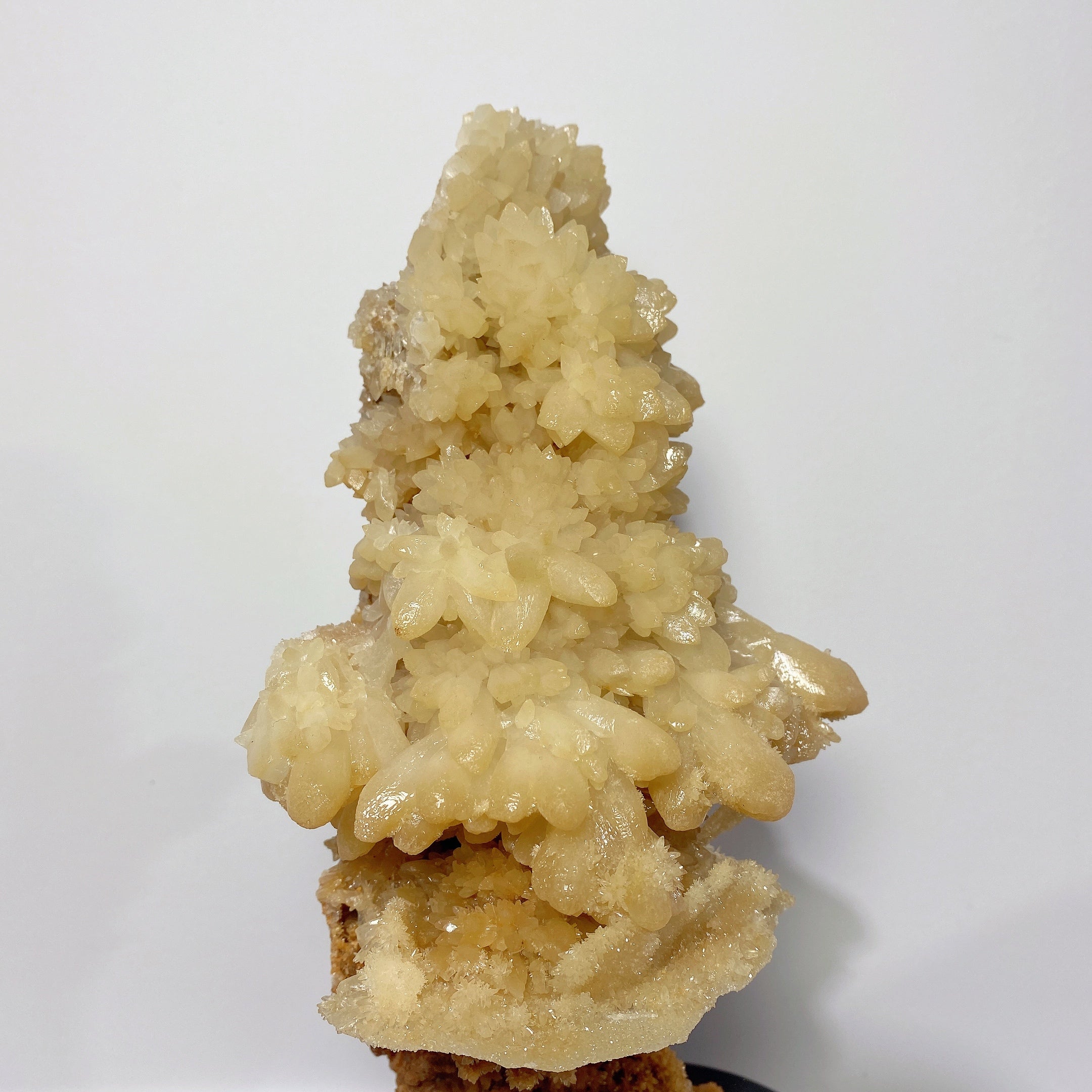 16cm Calcite Crystal Tree with Stand | Unique Healing Specimen