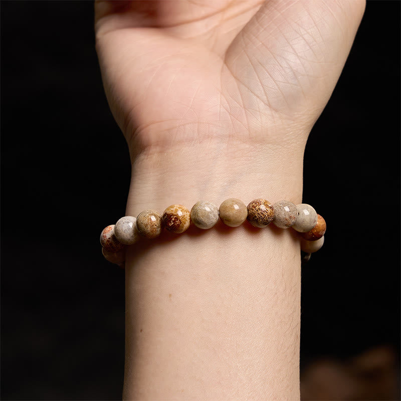 8-9mm Fossil Coral Compassion Bracelet for Self-Esteem & Strength