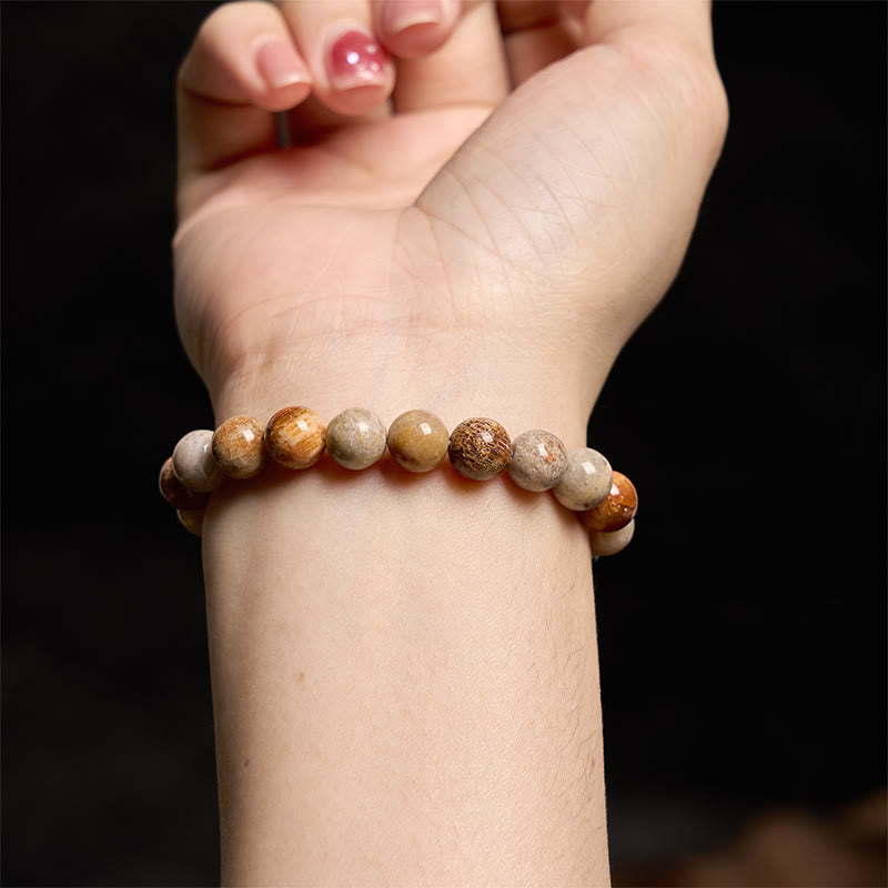 8-9mm Fossil Coral Compassion Bracelet for Self-Esteem & Strength