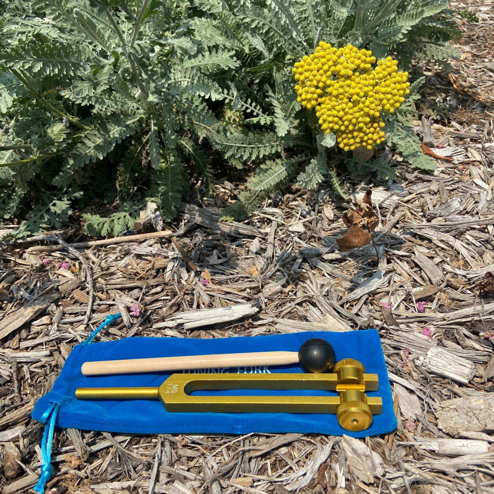 Blue and gold 174 Hz Solfeggio tuning fork with striker on a blue base