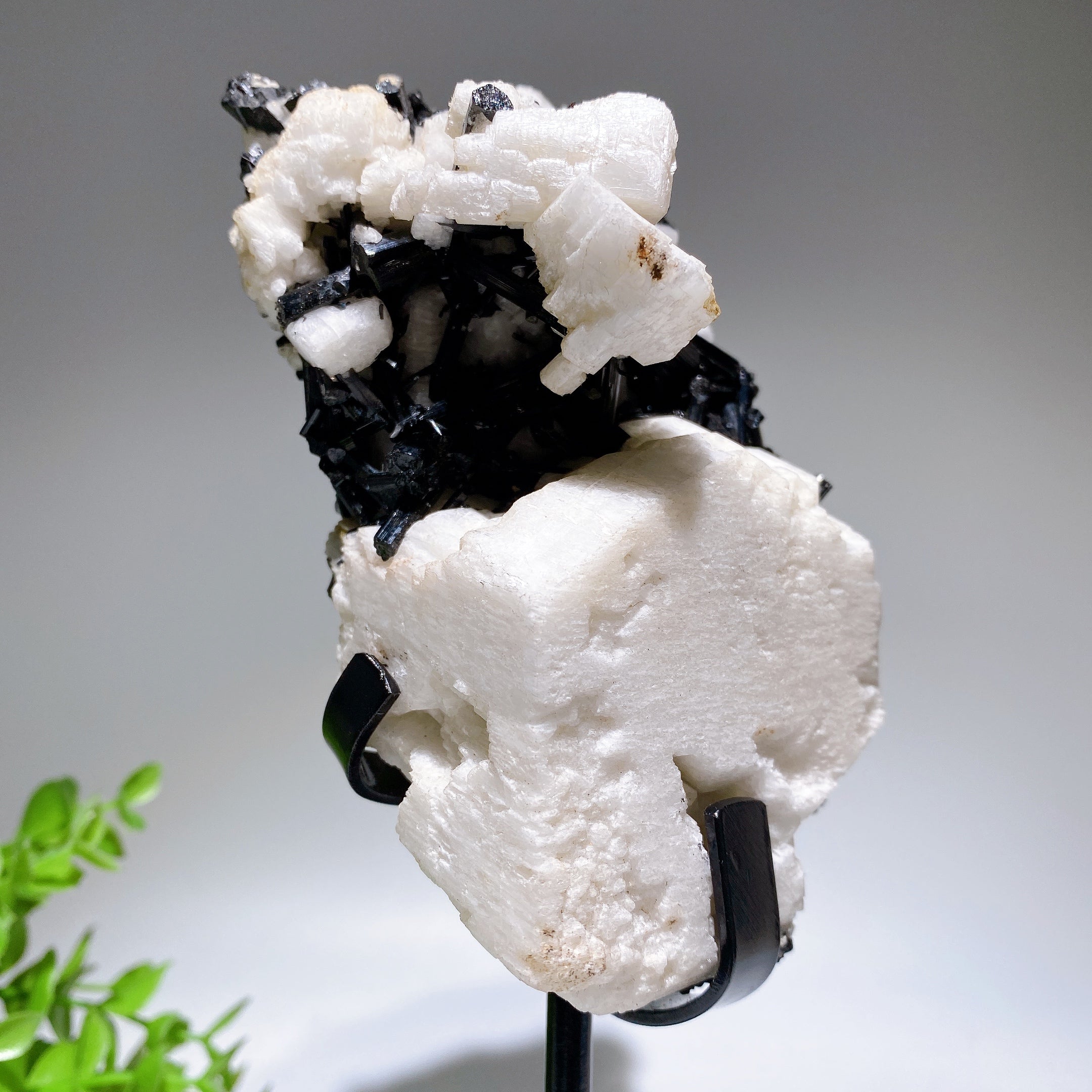 18cm Black Tourmaline In Feldspar Crystal Specimen Display