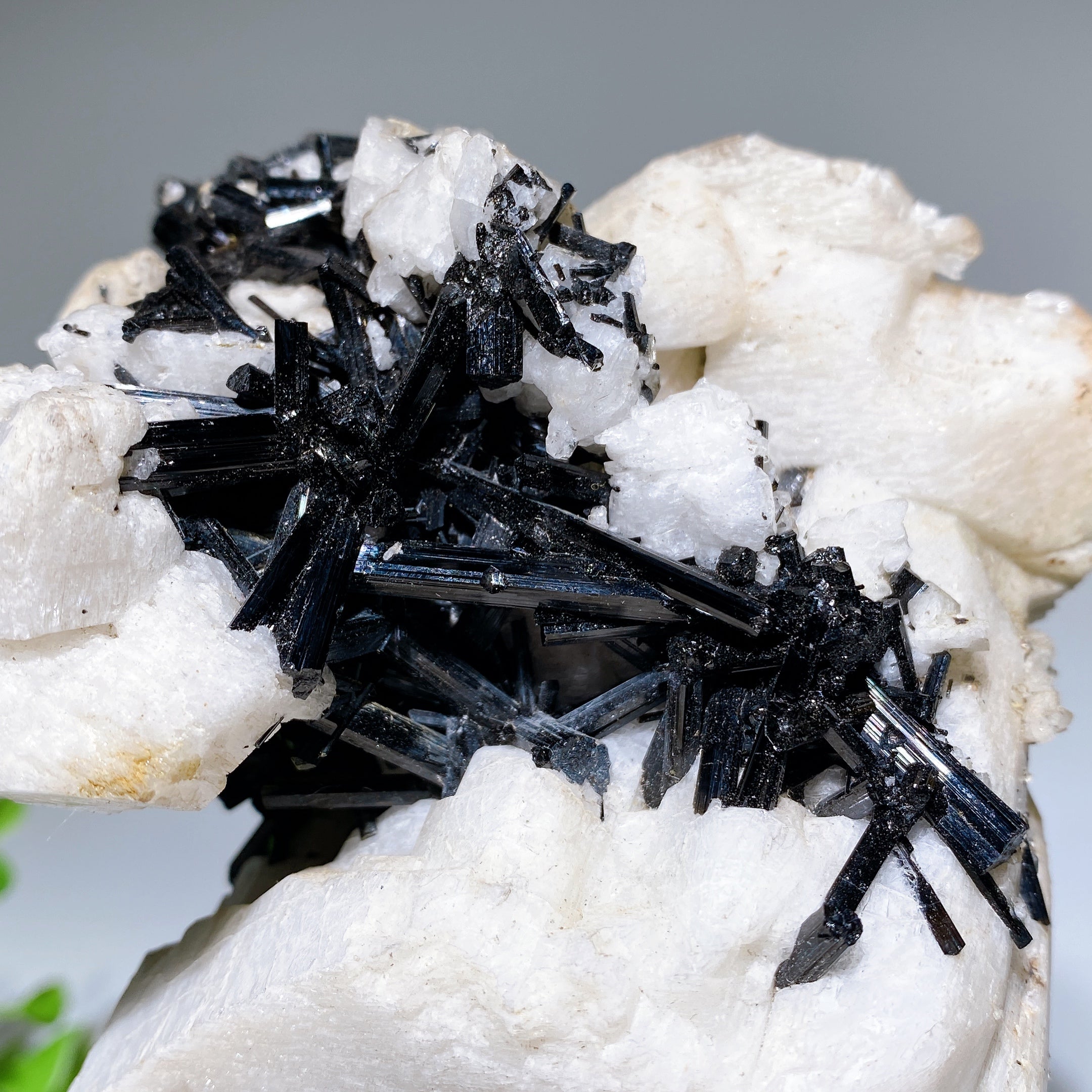 18cm Black Tourmaline In Feldspar Crystal Specimen Display