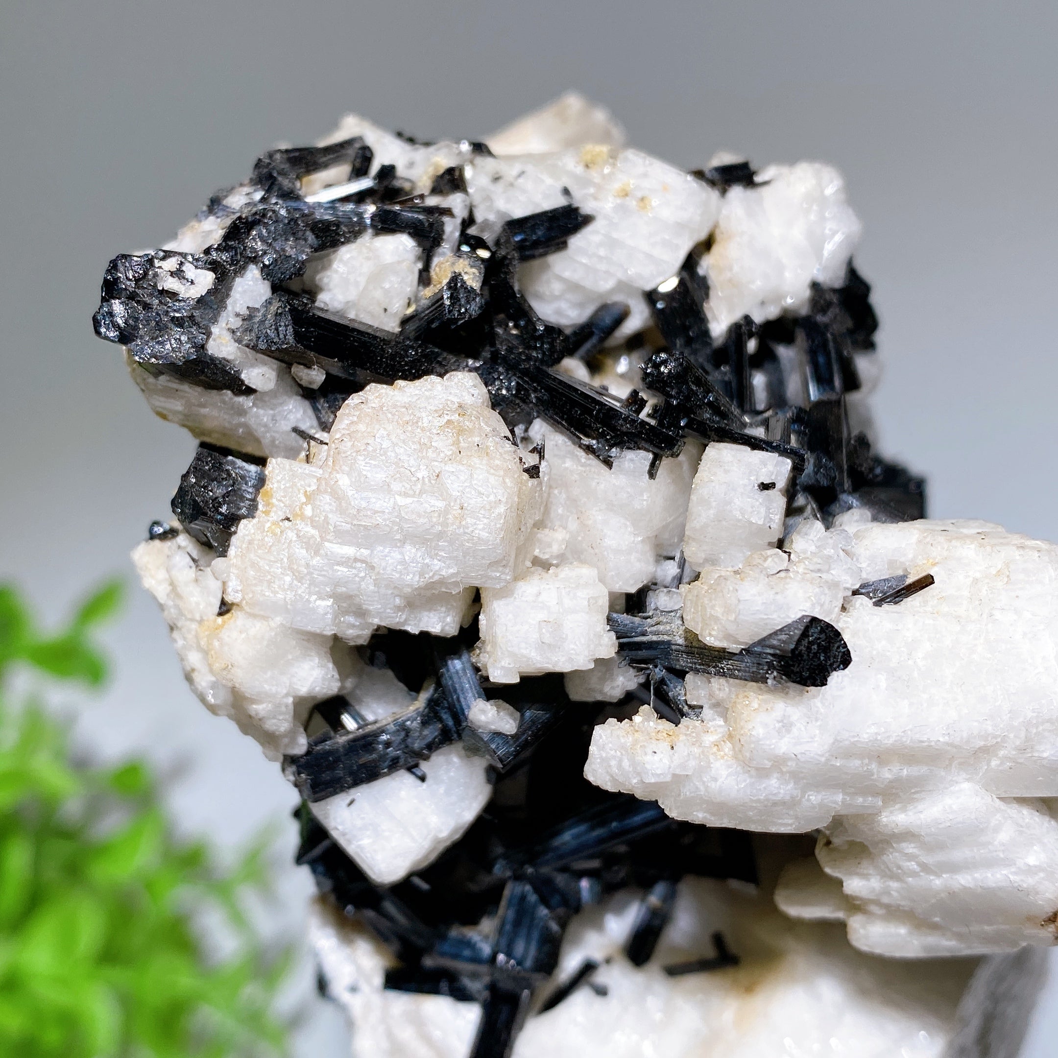 18cm Black Tourmaline In Feldspar Crystal Specimen Display