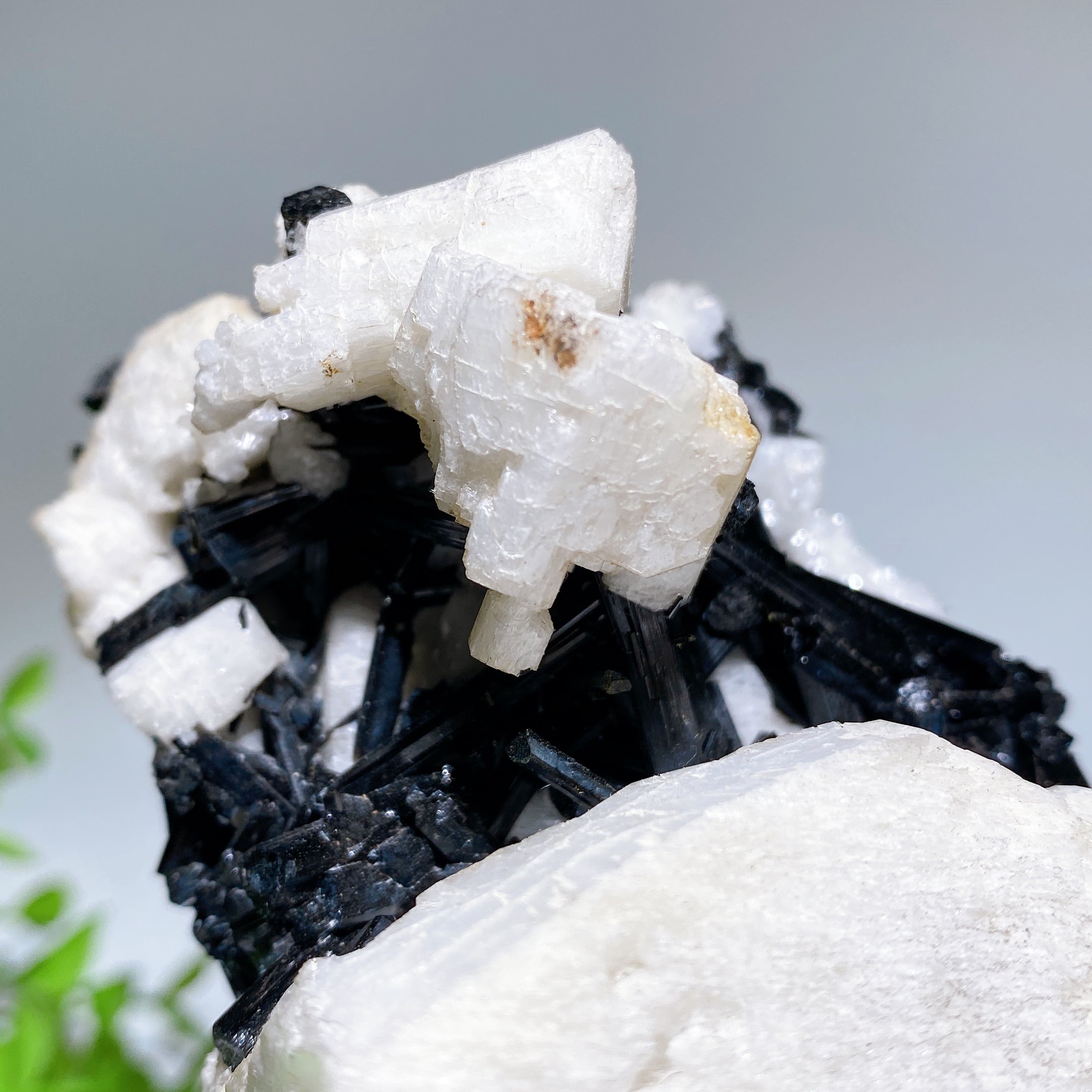18cm Black Tourmaline In Feldspar Crystal Specimen Display