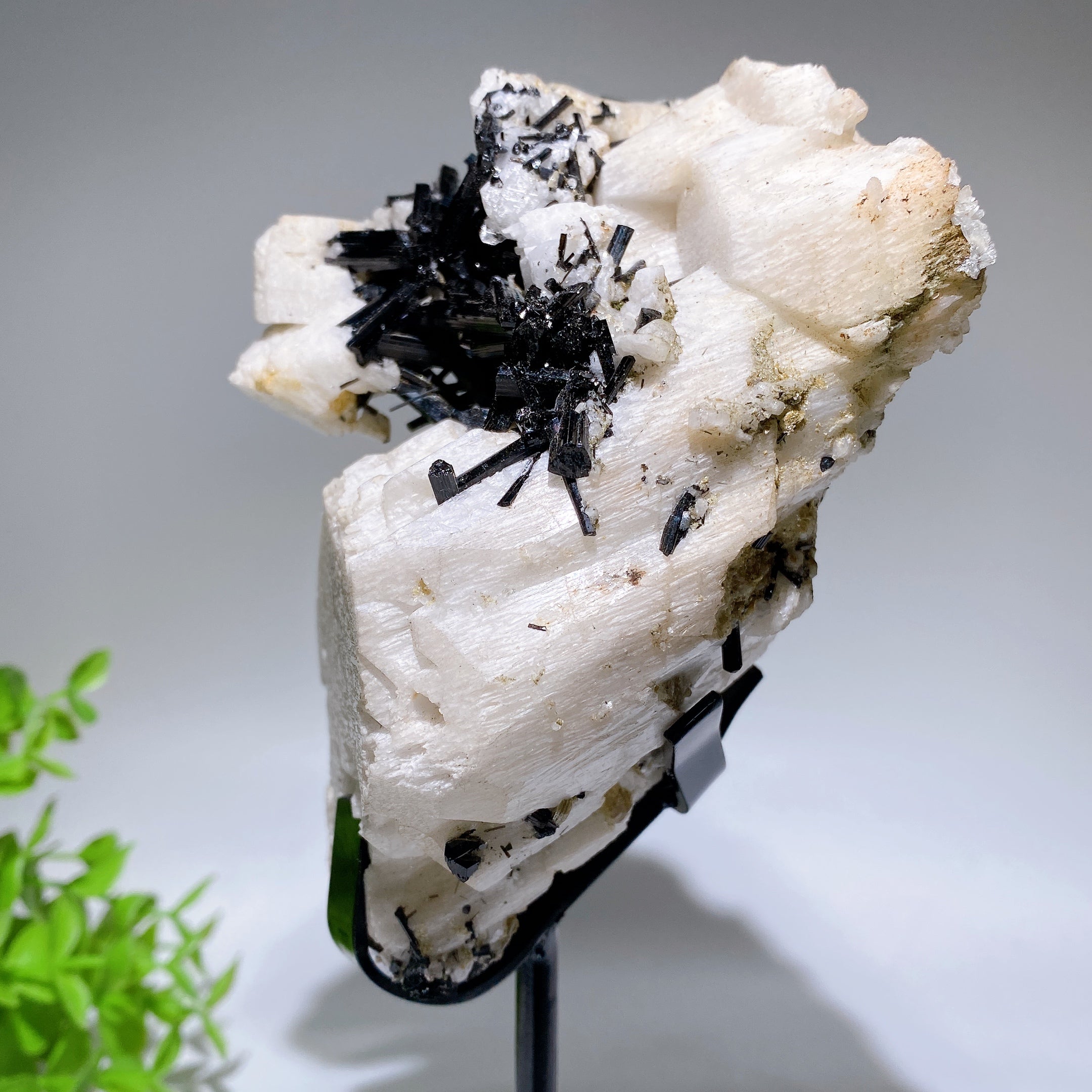 18cm Black Tourmaline In Feldspar Crystal Specimen Display