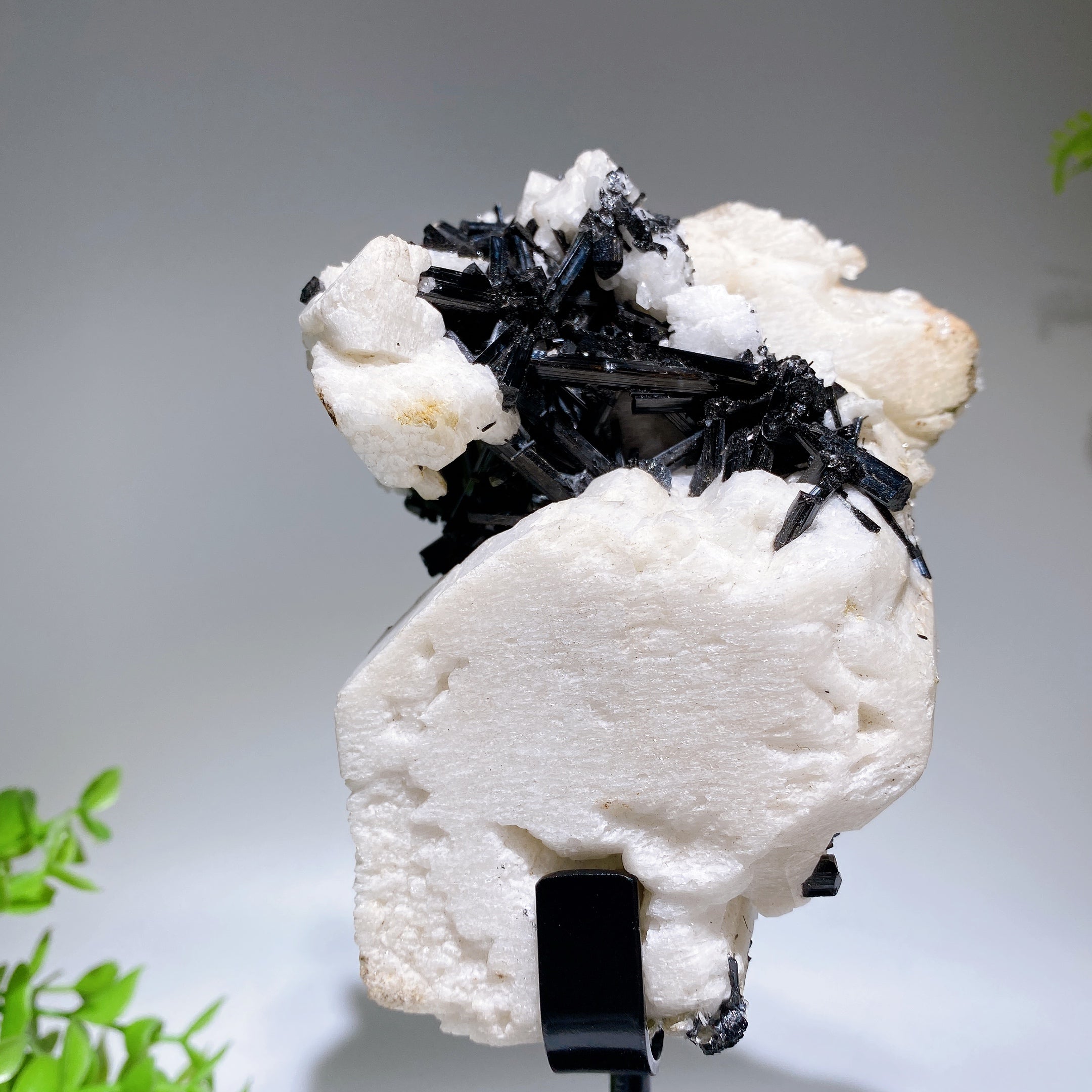 18cm Black Tourmaline In Feldspar Crystal Specimen Display