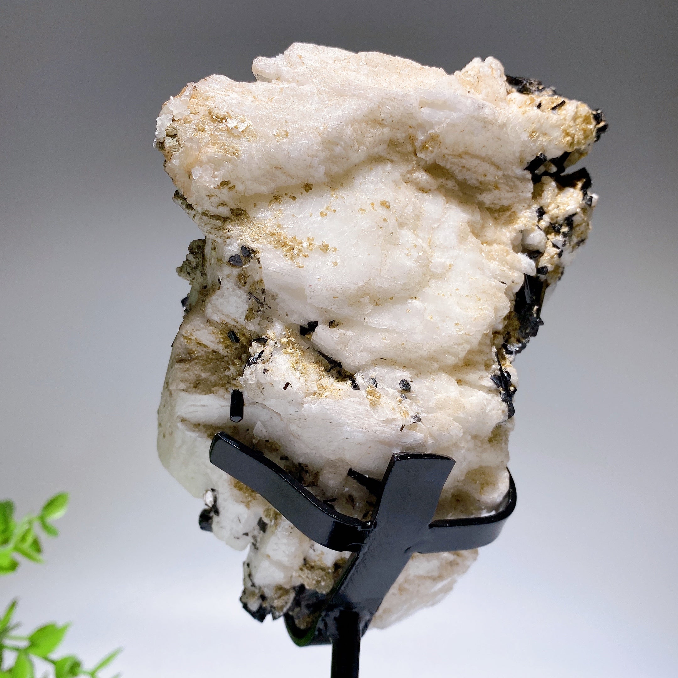 18cm Black Tourmaline In Feldspar Crystal Specimen Display