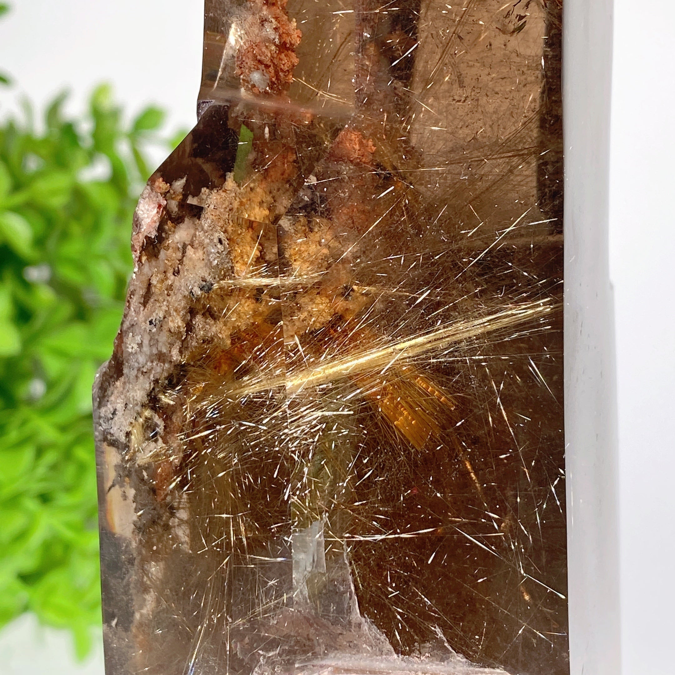 18cm Golden Rutilated Quartz Crystal Tower with Stand