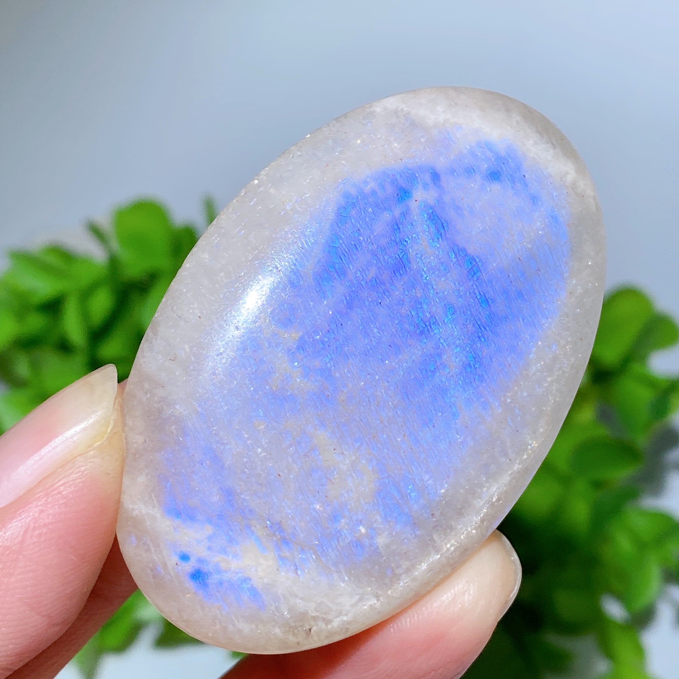 2.0-2.2" Blue Flash Moonstone Palm and Heart Healing Stones