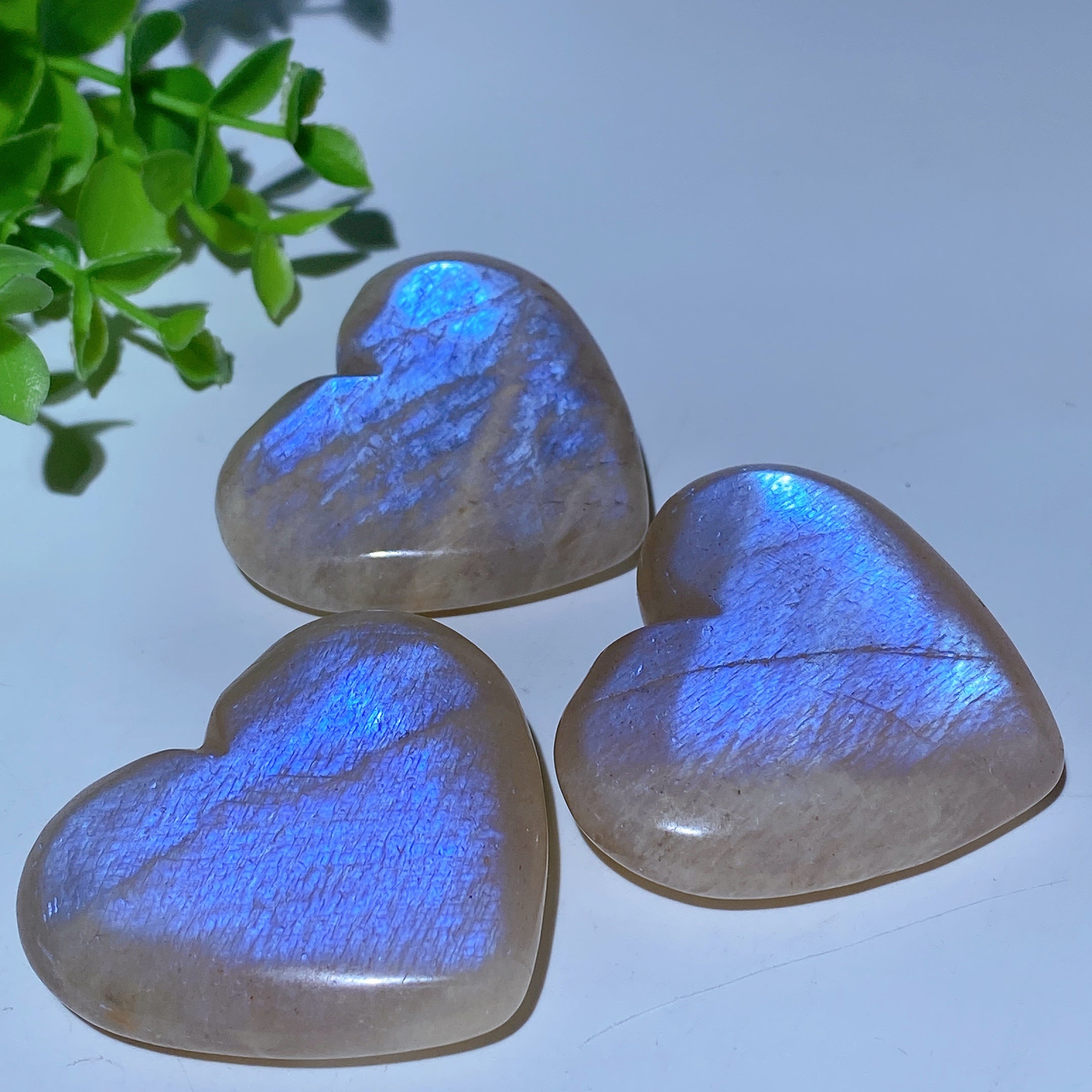 2.0-2.2" Blue Flash Moonstone Palm and Heart Healing Stones