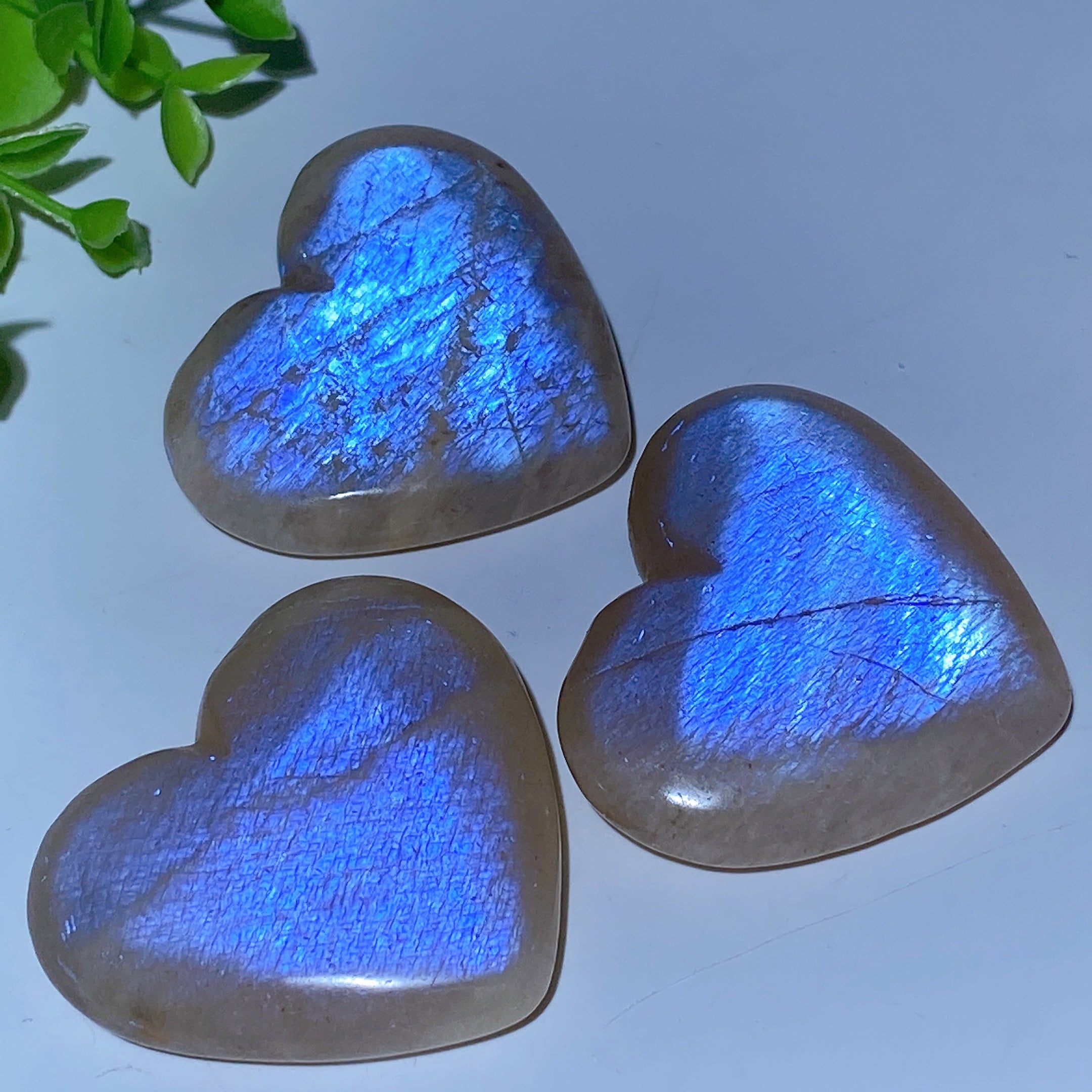 2.0-2.2" Blue Flash Moonstone Palm and Heart Healing Stones