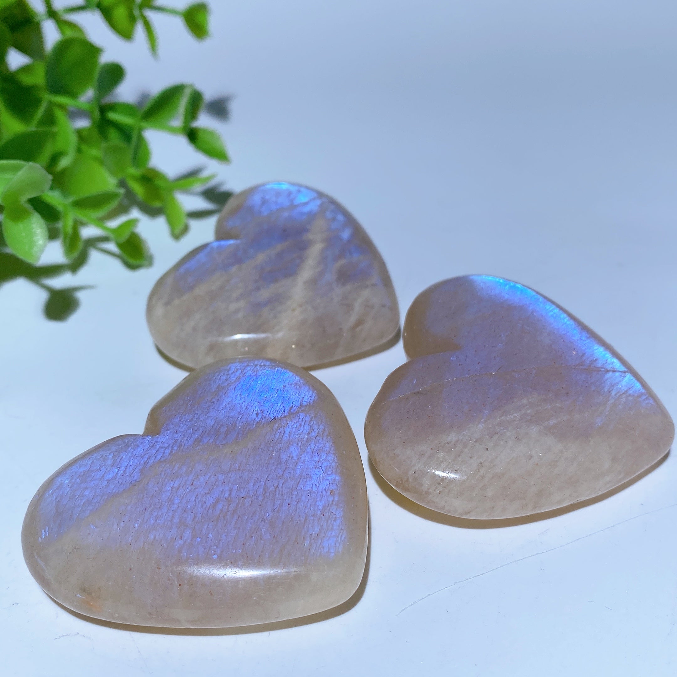 2.0-2.2" Blue Flash Moonstone Palm and Heart Healing Stones