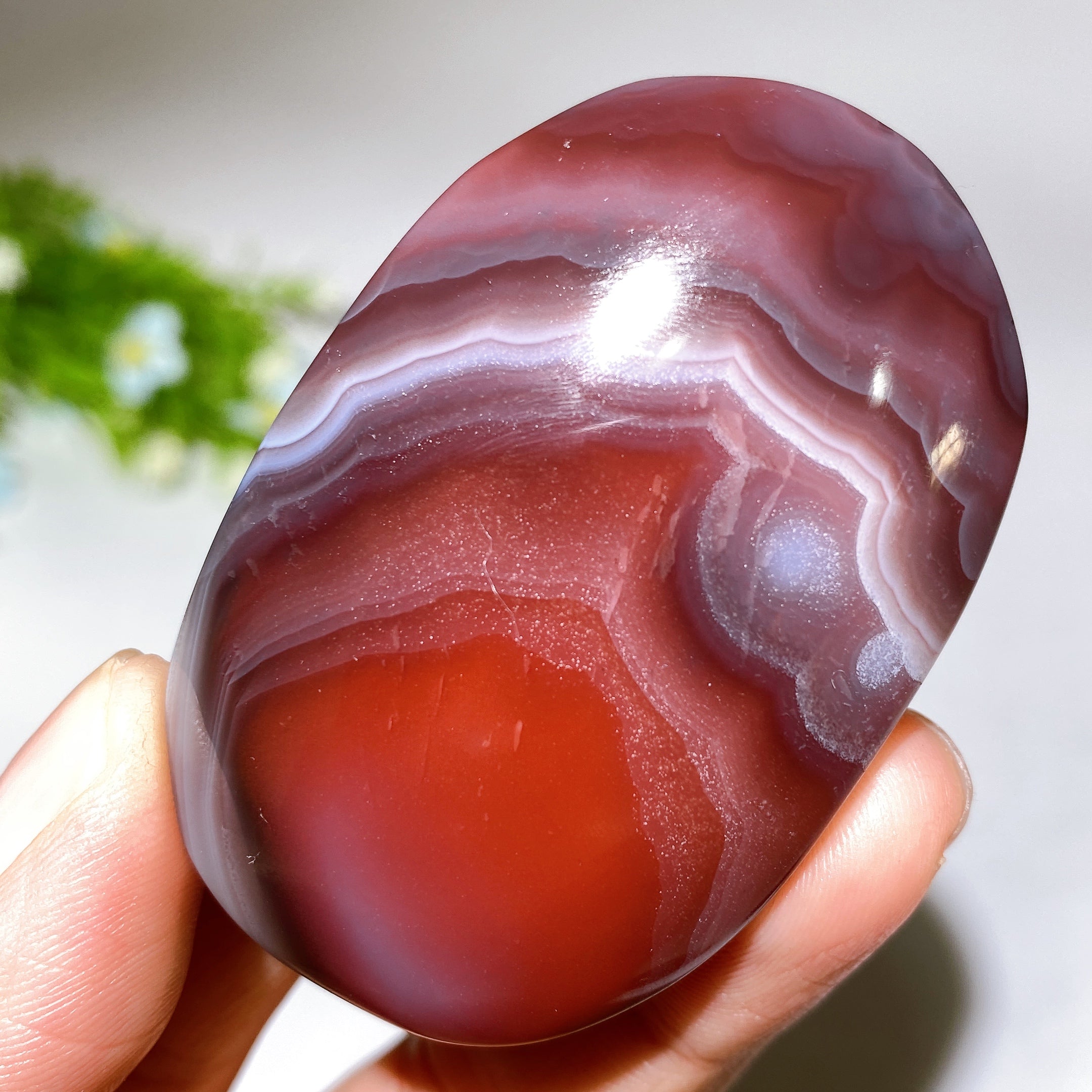 2.0-2.5" Botswana Agate Palm Stone for Crystal Healing