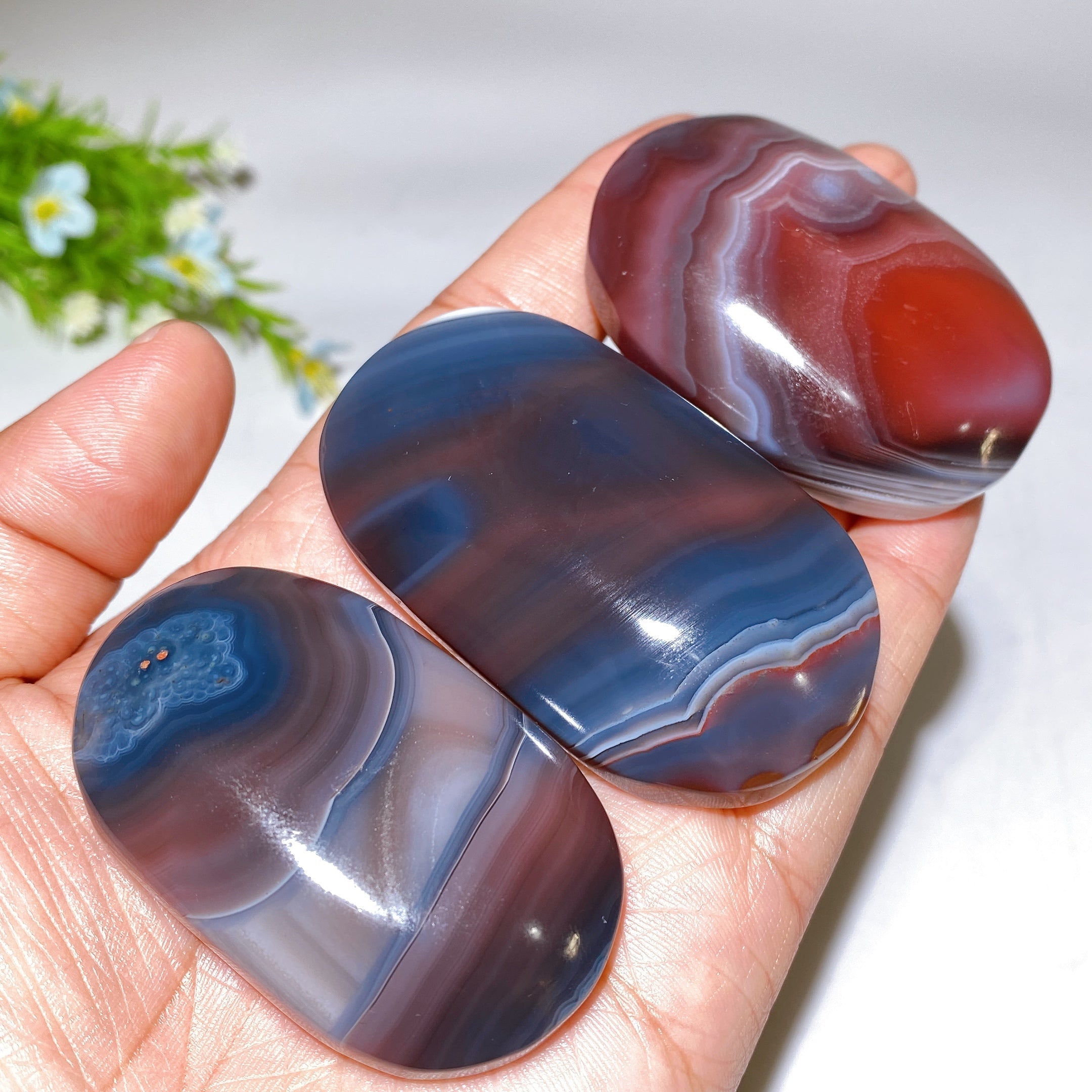 2.0-2.5" Botswana Agate Palm Stone for Crystal Healing