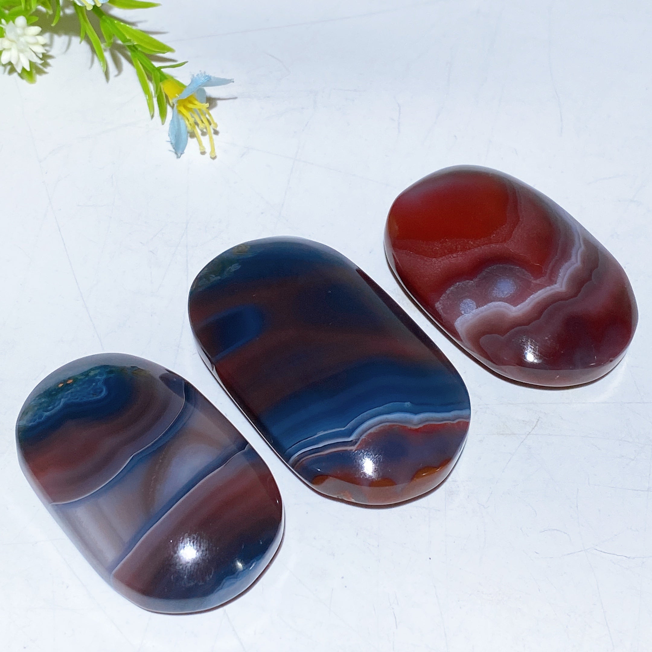 2.0-2.5" Botswana Agate Palm Stone for Crystal Healing