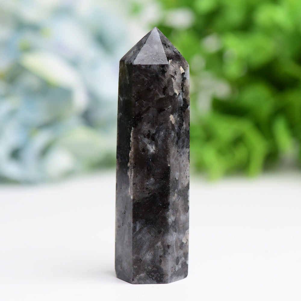 2.0-4.5 inch Larvikite Crystal Points for Energy Healing
