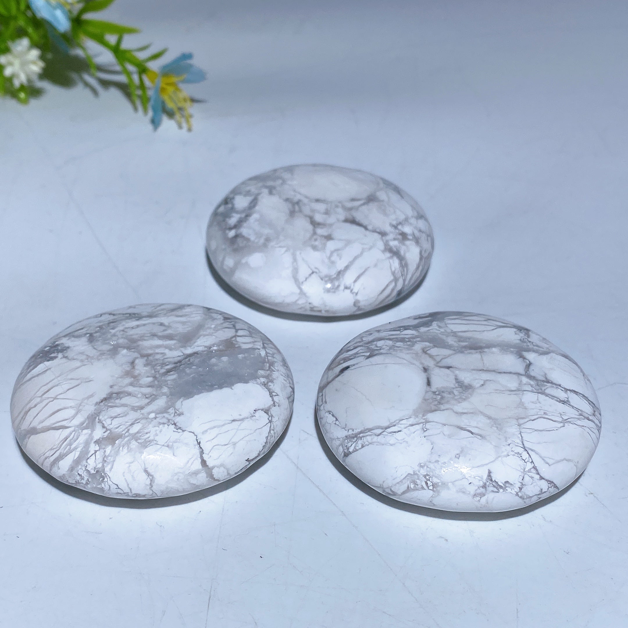 2.0 Inch Howlite Round Palm Stone for Healing Meditation