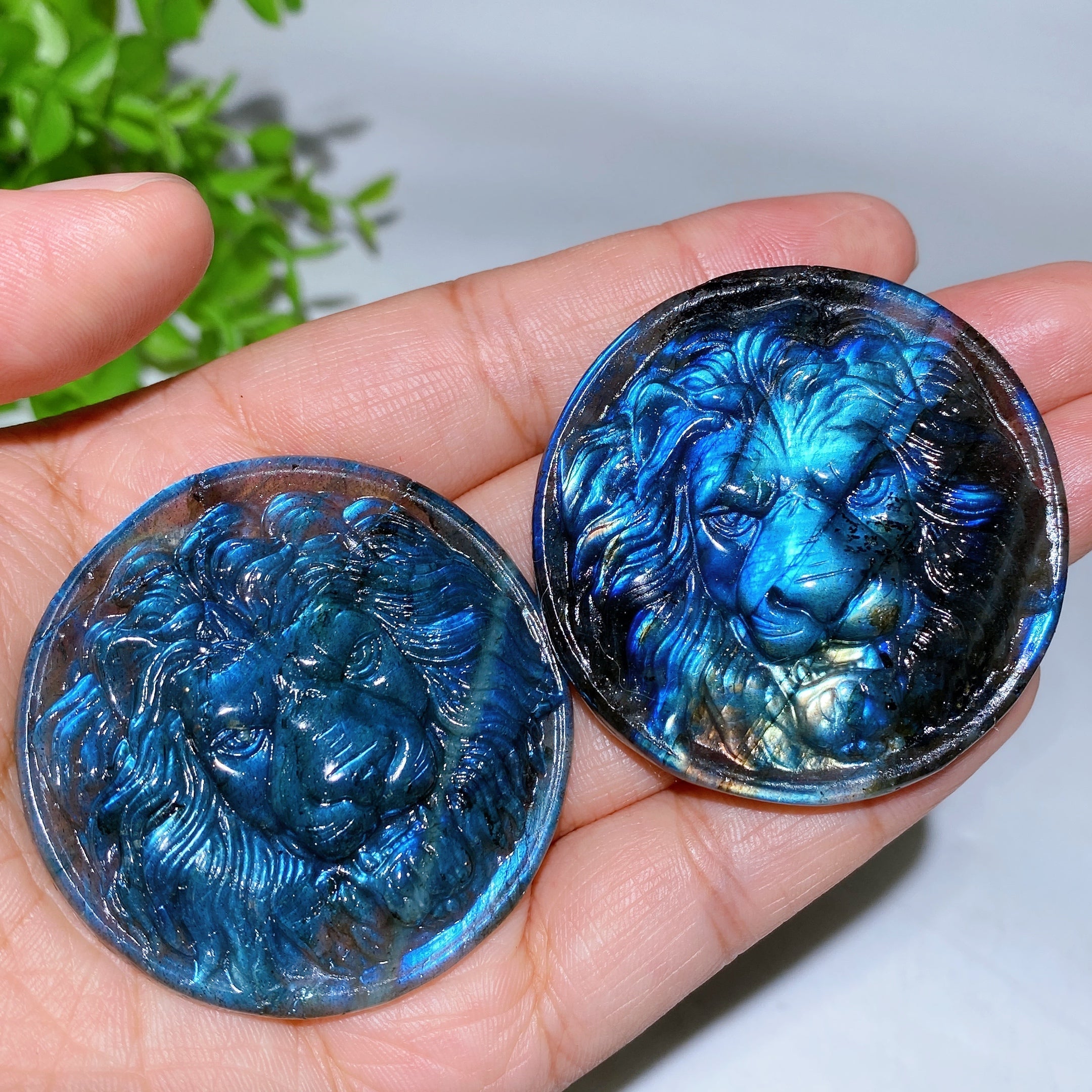 2.0-inch Labradorite Lion Crystal Figurine Carving