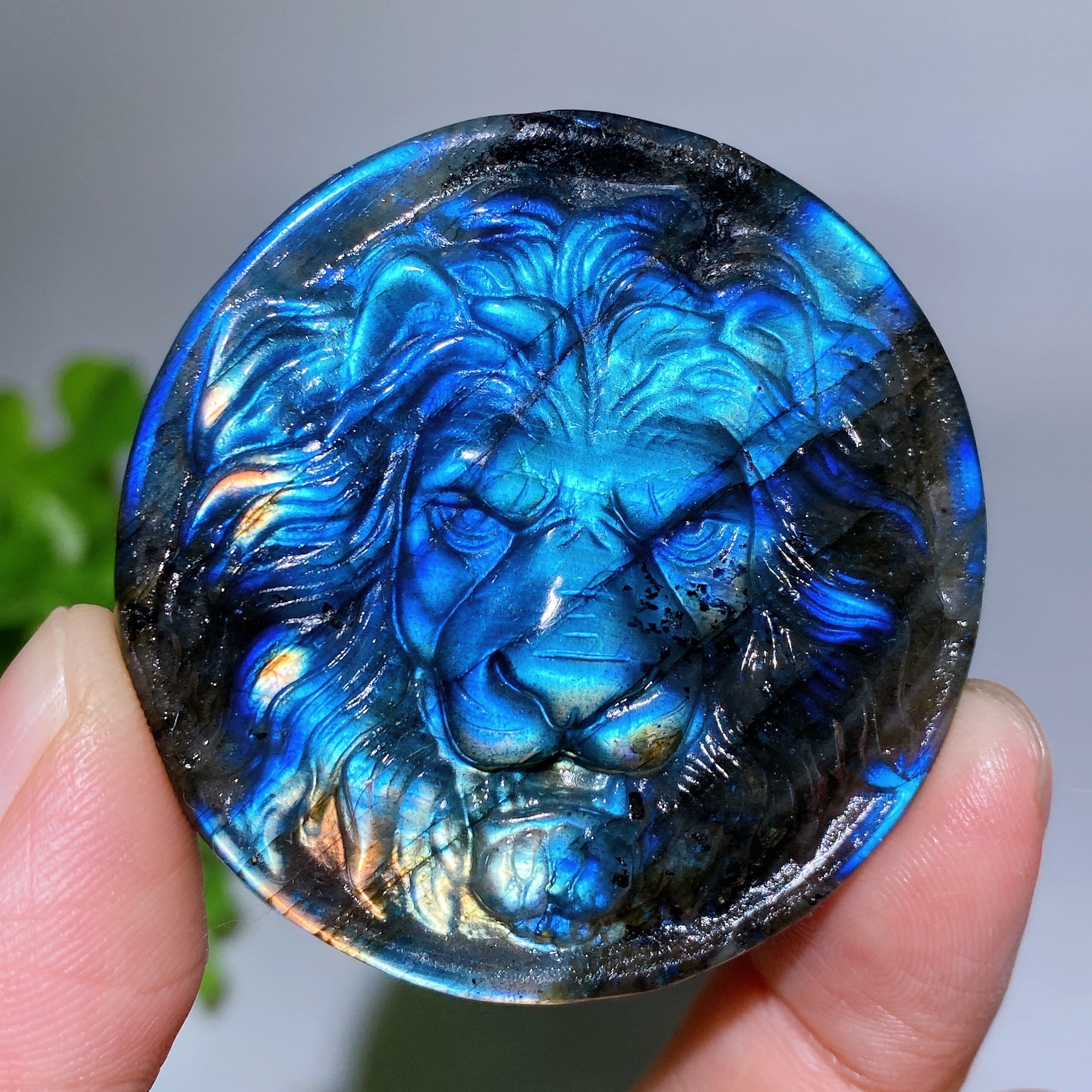 2.0-inch Labradorite Lion Crystal Figurine Carving