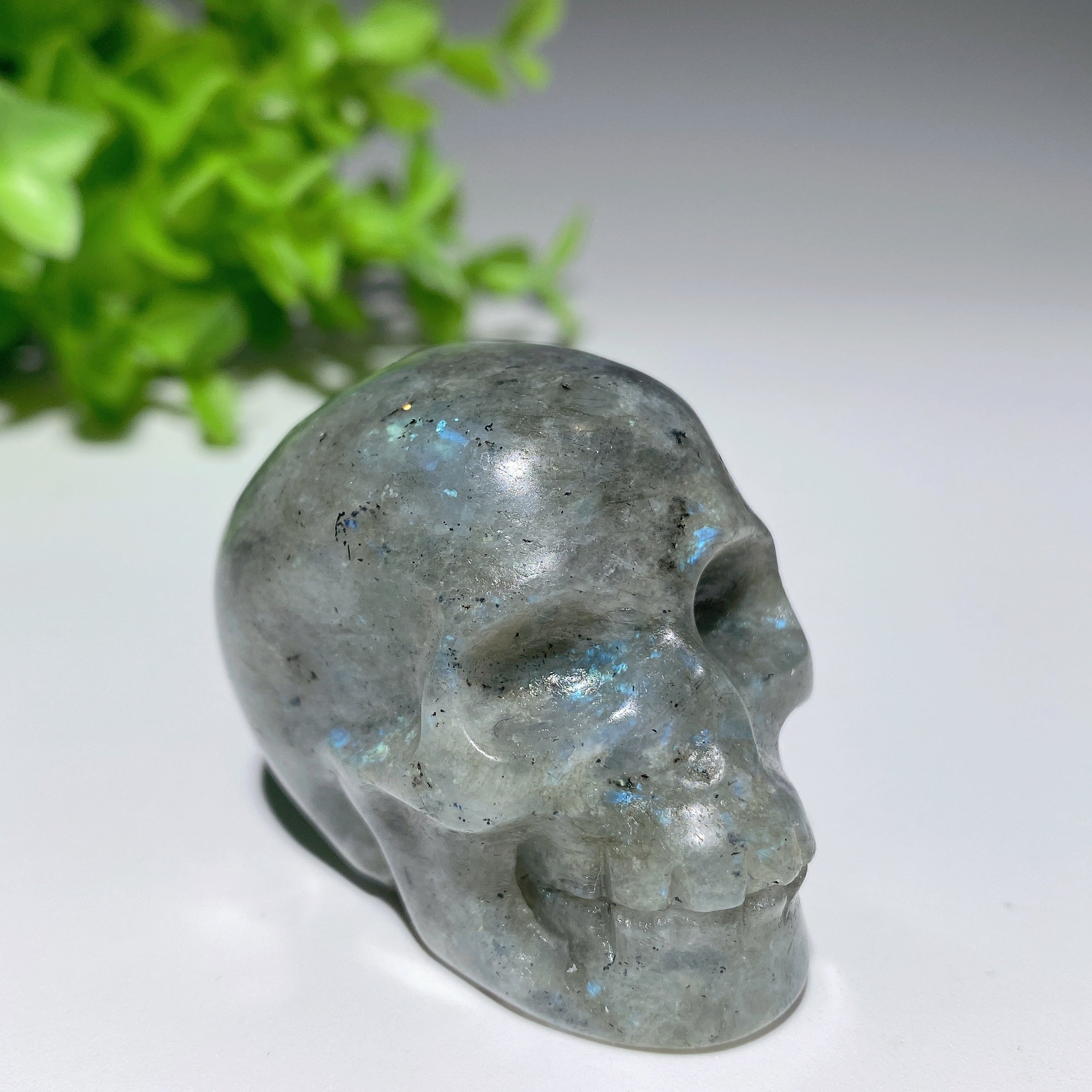 5 Inch Labradorite Dragon Crystal Carving for Healing