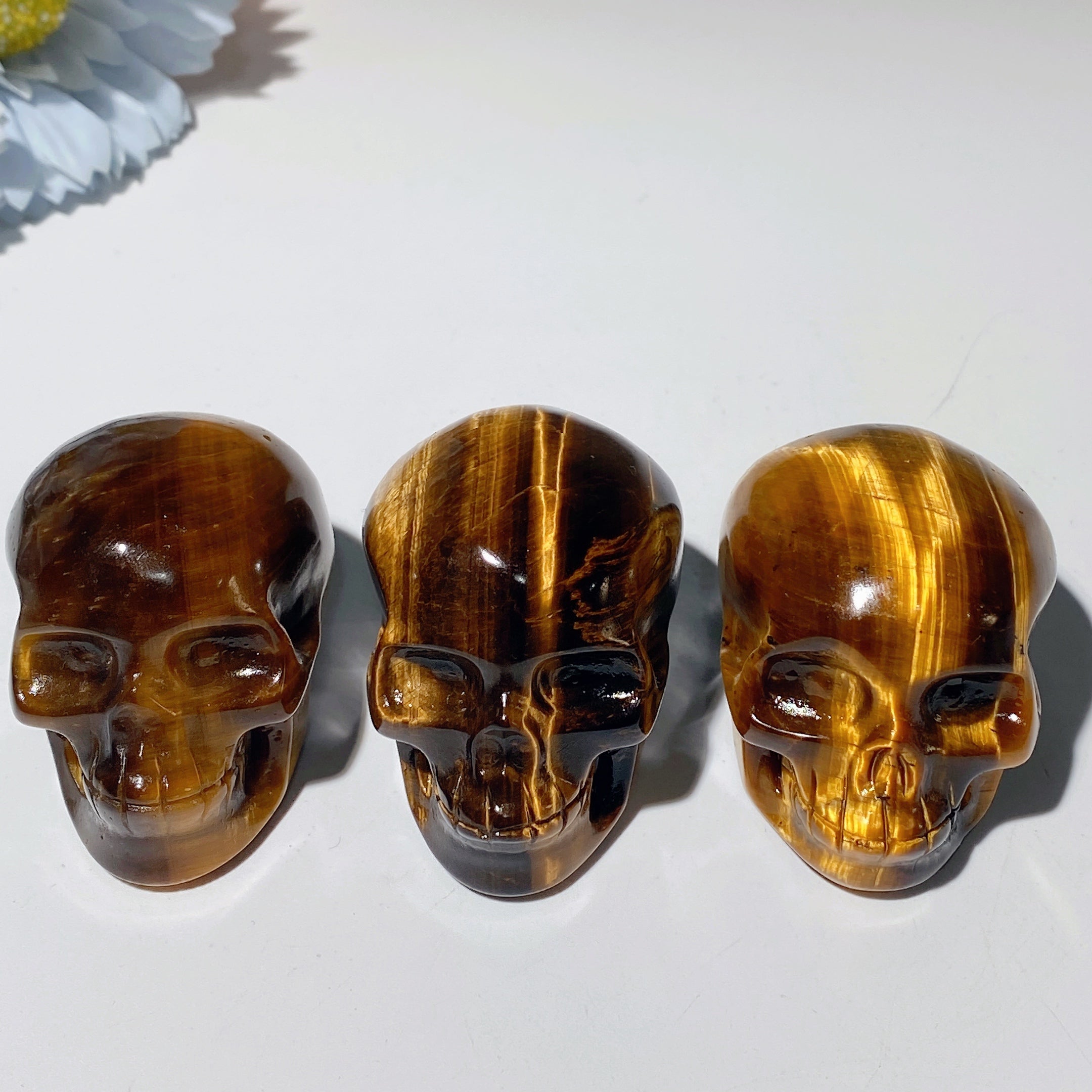 2.0 inch Yellow Tiger Eye Crystal Skull for Healing