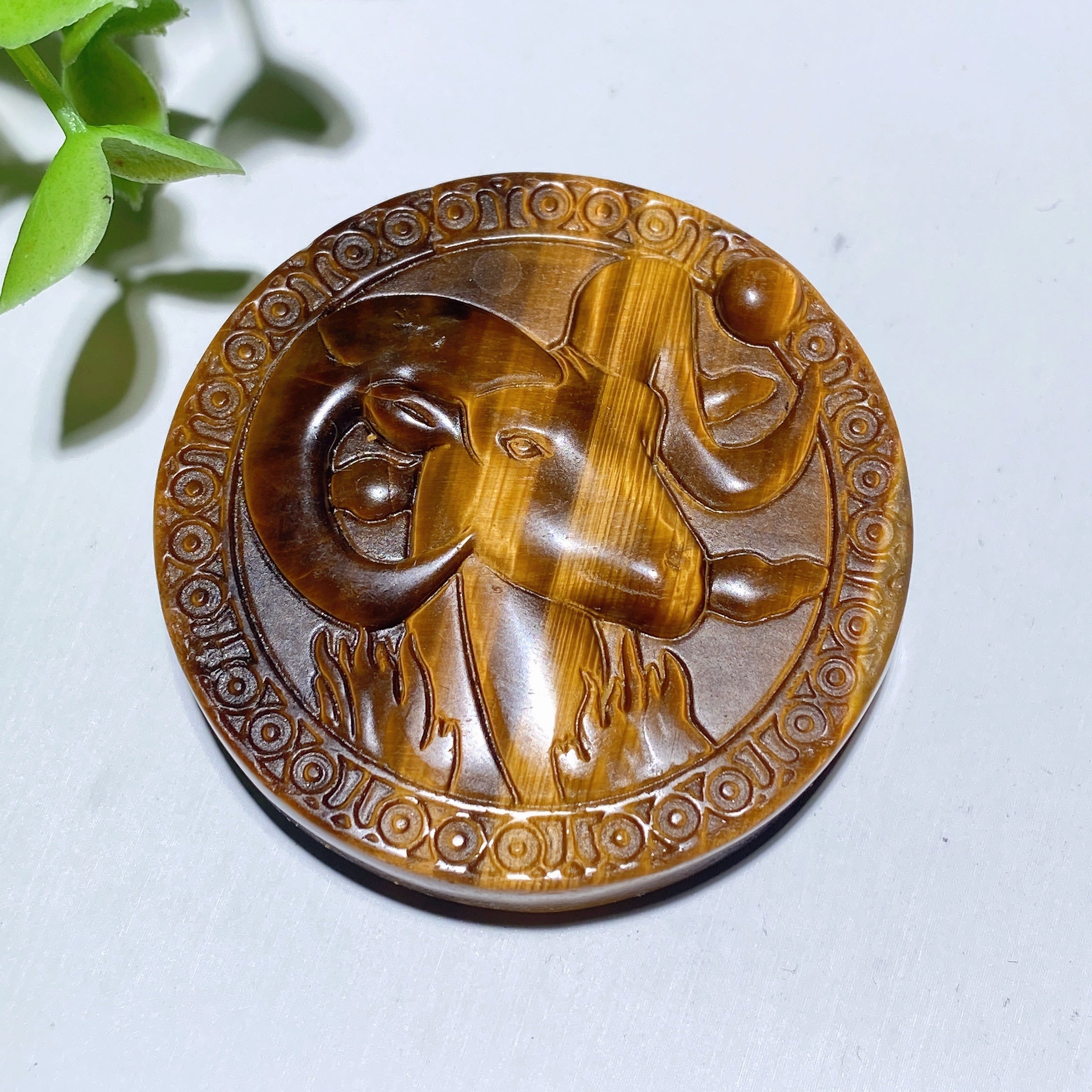 2.0 inch Yellow Tiger's Eye Zodiac Slab Crystal Healing