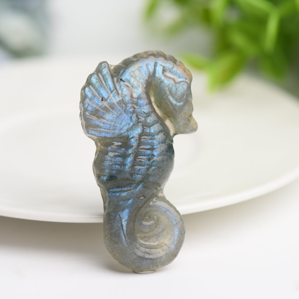 2.0" Labradorite Hippocampus Crystal Carving Figurine