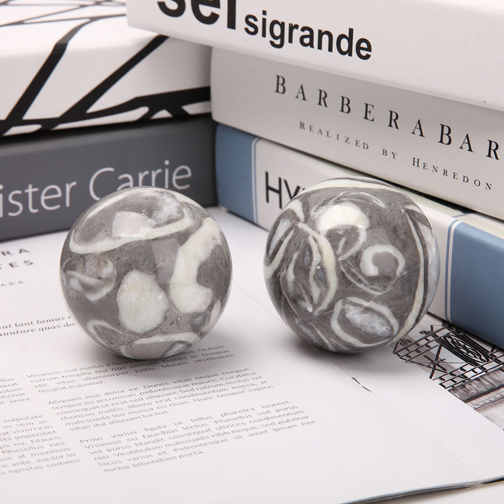 2.2-2.45 inch Shell Crystal Sphere for Healing & Decoration