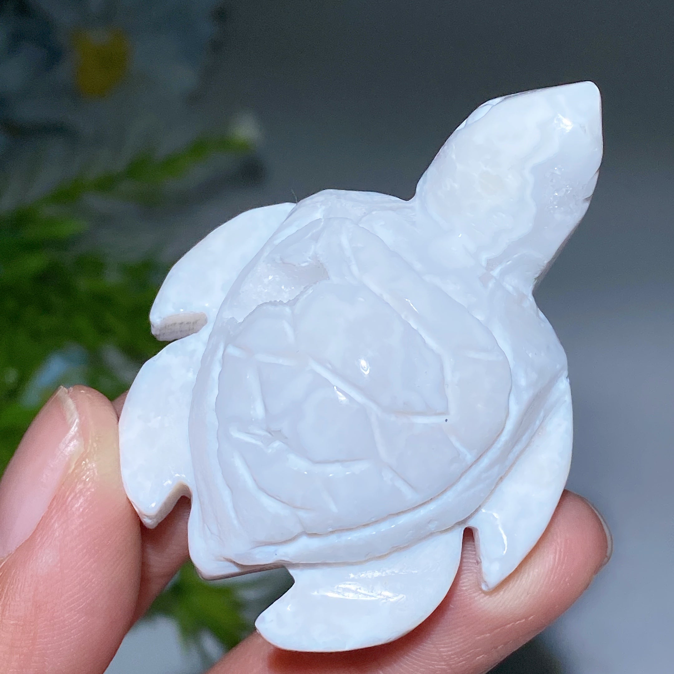 2.2" Druzy White Agate Crystal Turtle Figurine for Healing