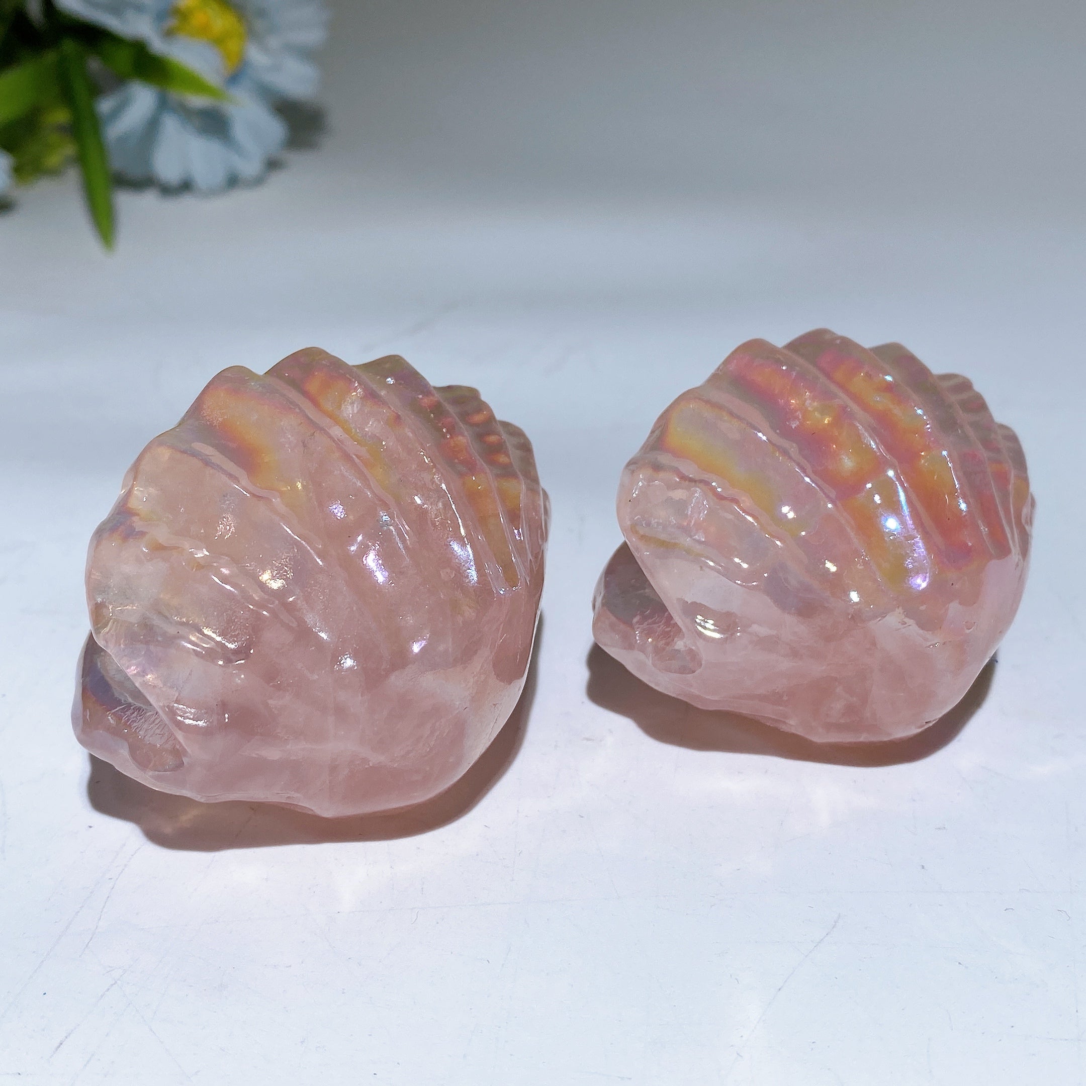 2.2 Inch Aura Rose Quartz Crystal Shell Figurine