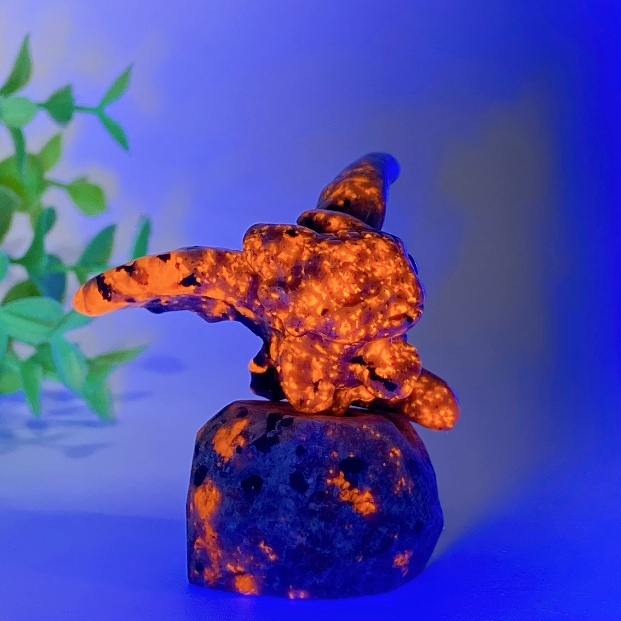 2.2 Inch Black Obsidian Opalite Yooperlite Crystal Dragon Carving